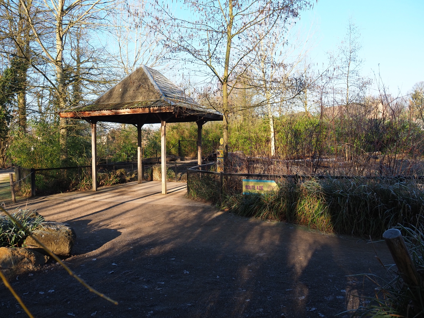 Visayan warty pig exhibit viewing area (Jan 20th, 2019)