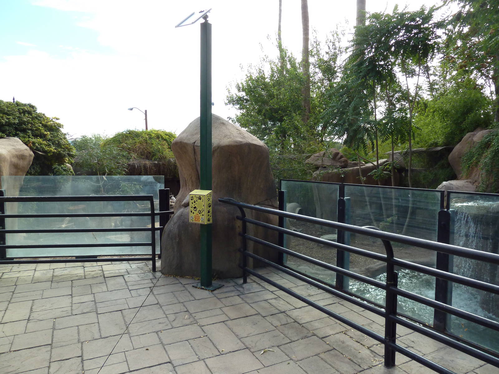 Visayan Warty Pig Exhibit