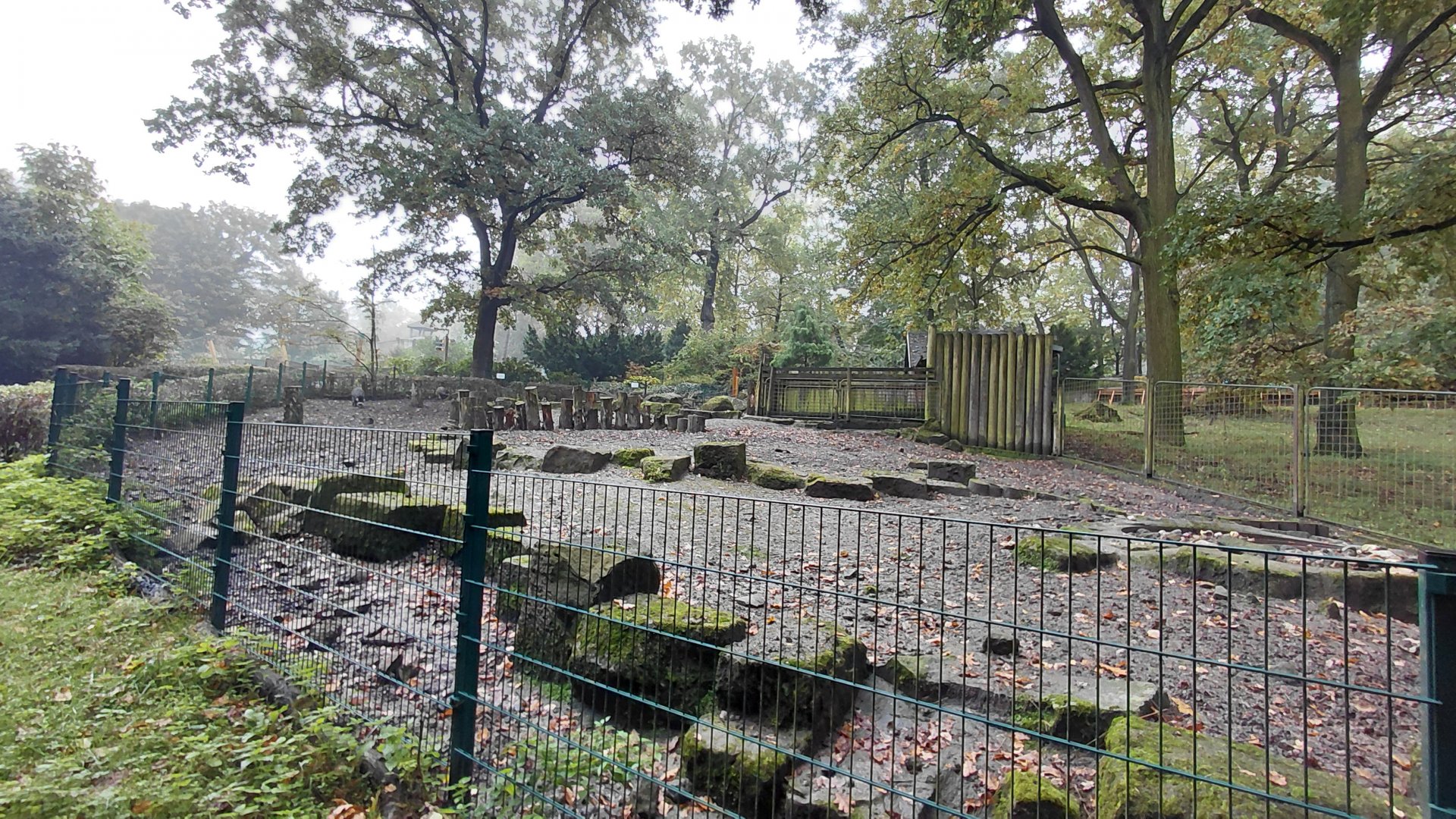 Visayan warty pig exhibit