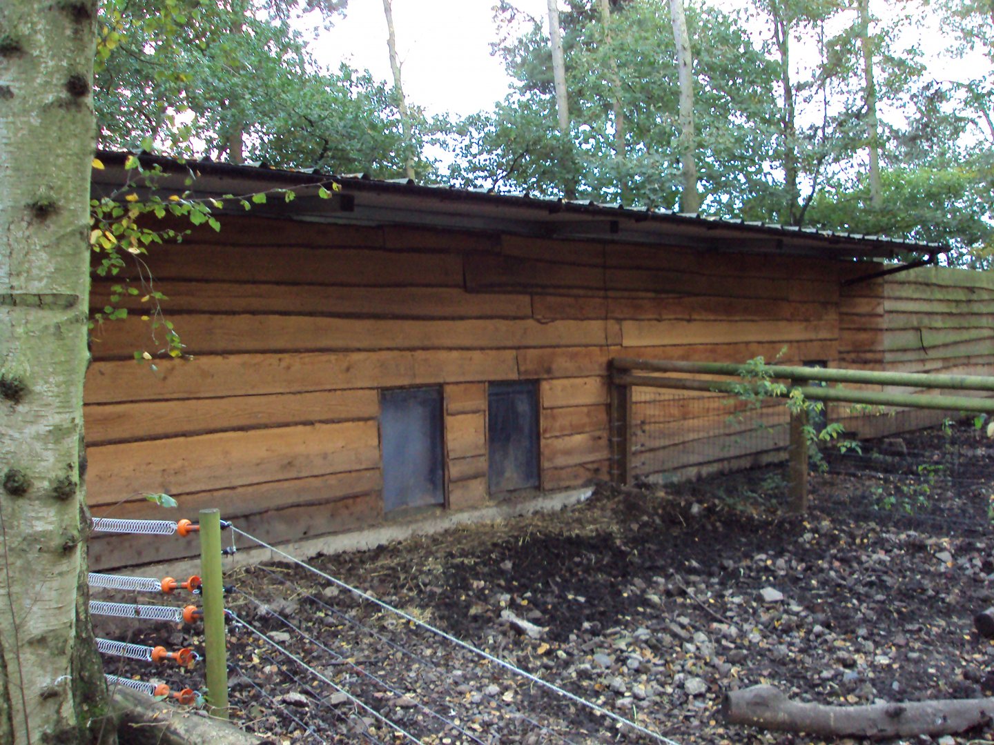 Visayan Warty Pig House 30/10/2019