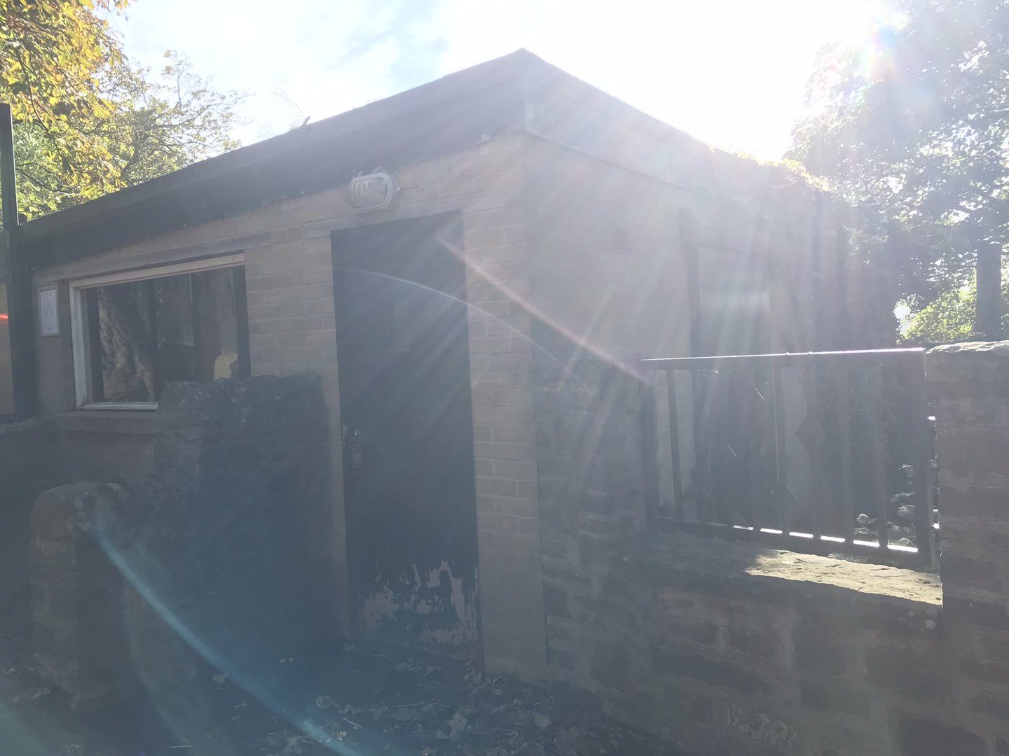 Visayan warty pig house