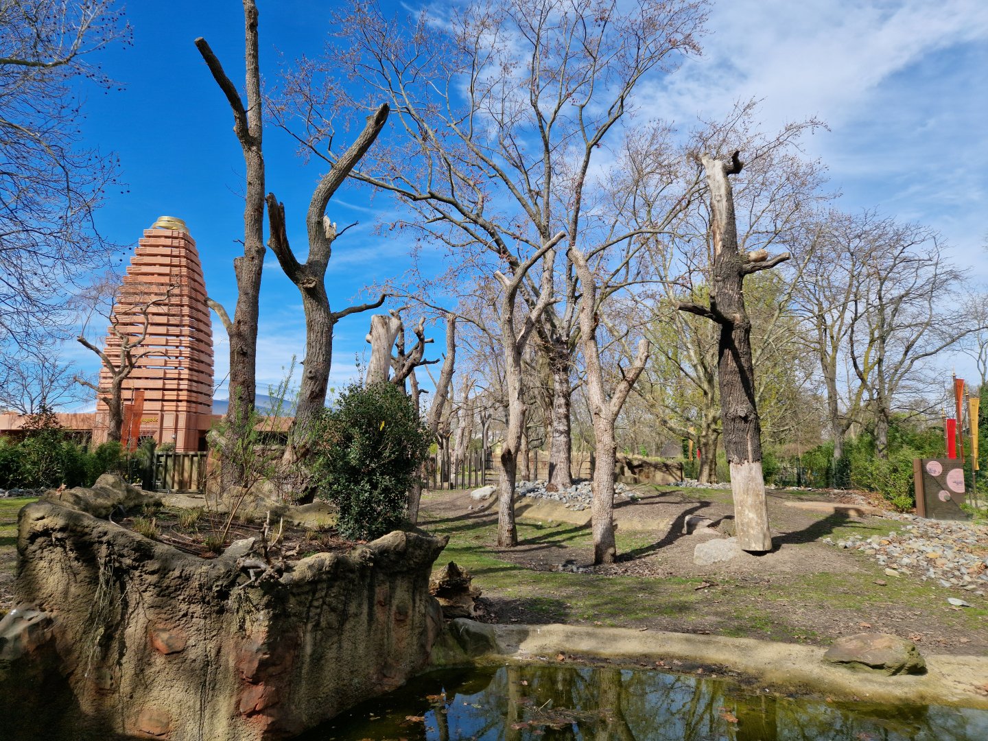 Visayan Warty Pig outdoor exhibit
