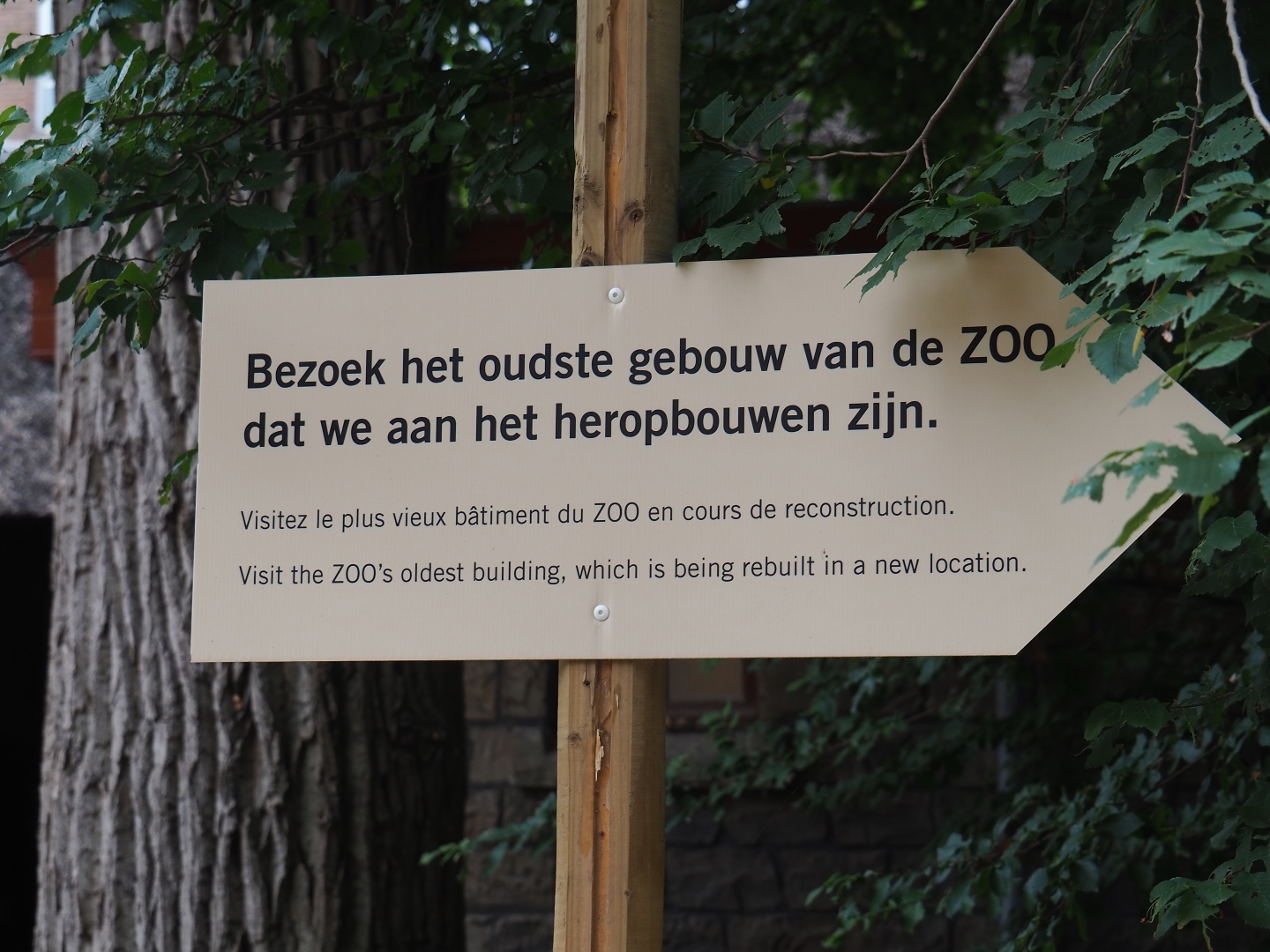 Visit the zoo's oldest building rebuilding site