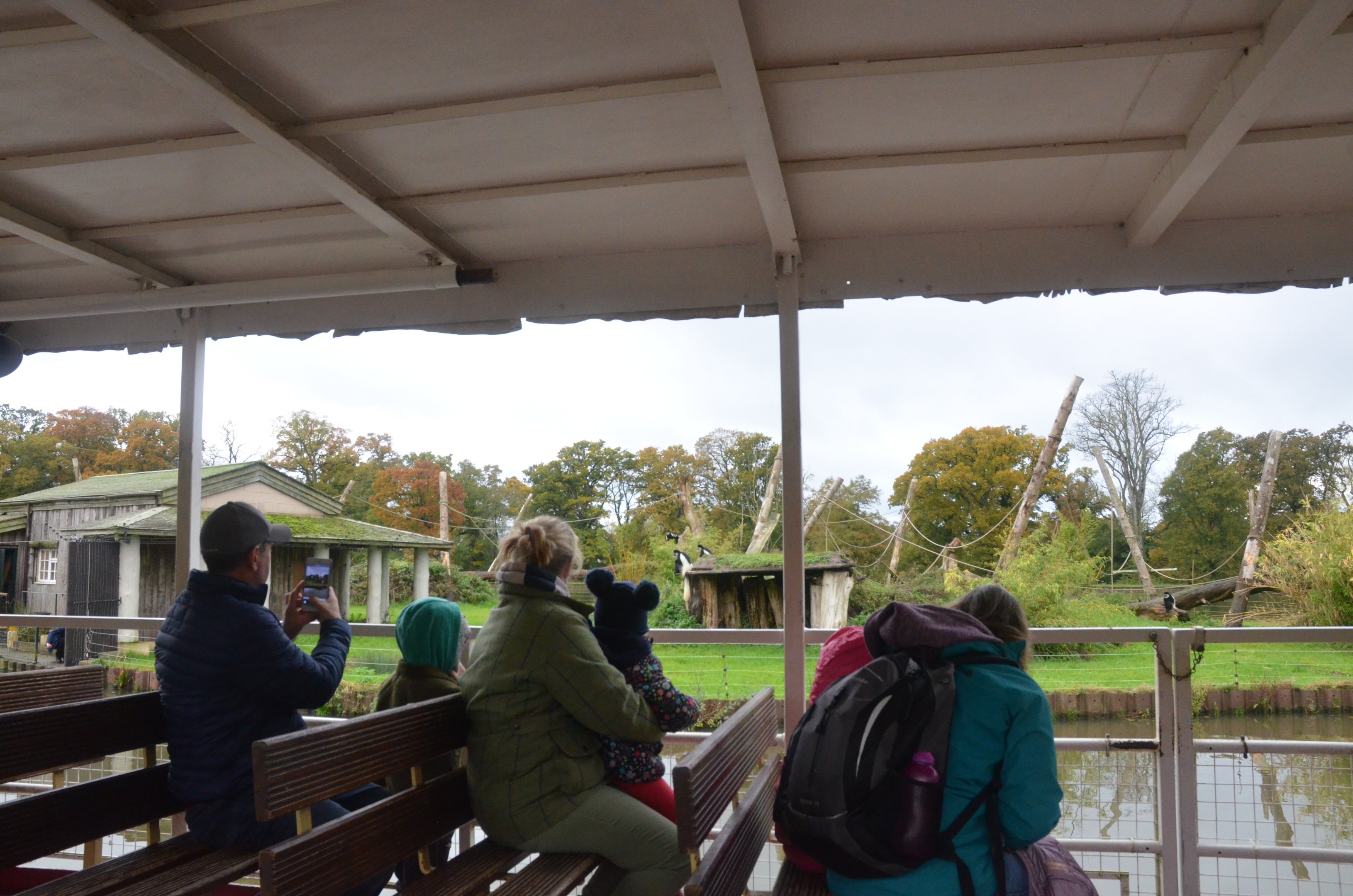 Visiting the Colobus Island (Half-Mile Lake) at Longleat, 03/11/19