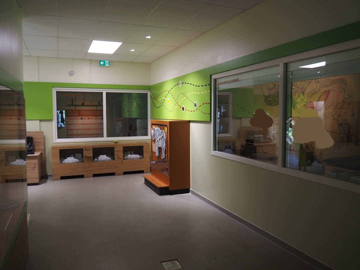 Visitor and education area in the veterinary clinic, 2024-06-30