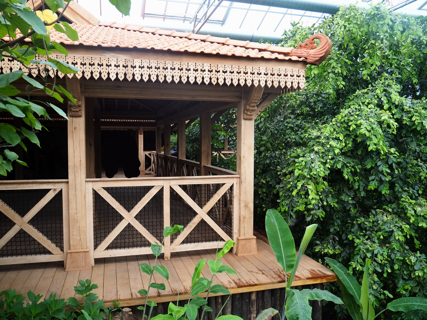 Visitor and viewing areas, 2022-07-03