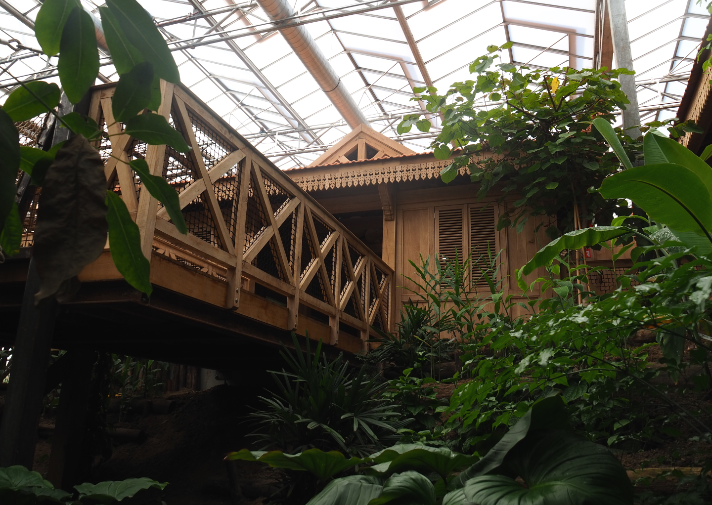 Visitor and viewing areas seen from new adventure route, 2022-07-03