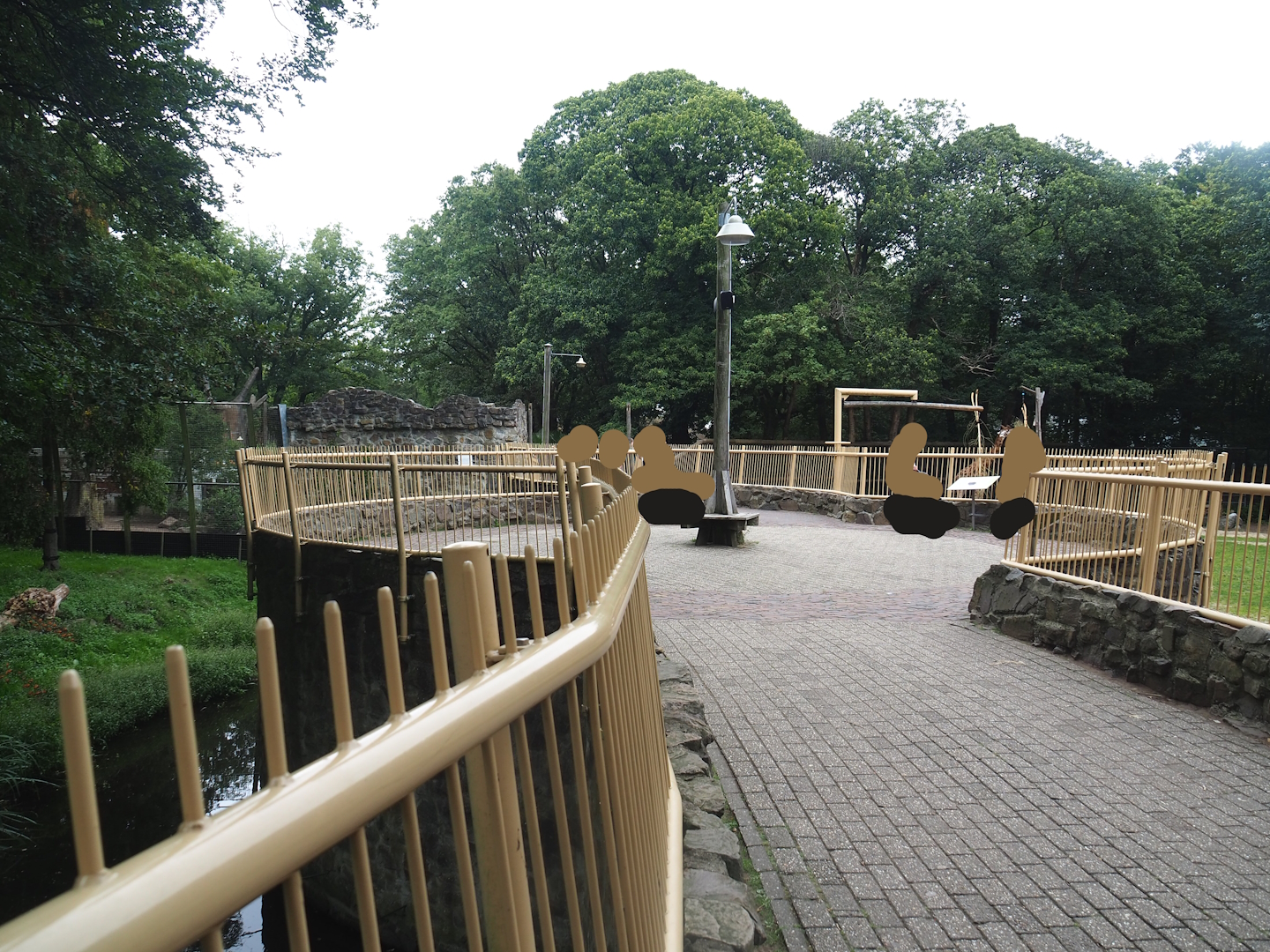Visitor area between Amur tiger and Addax and giraffe exhibits, 2023-08-17