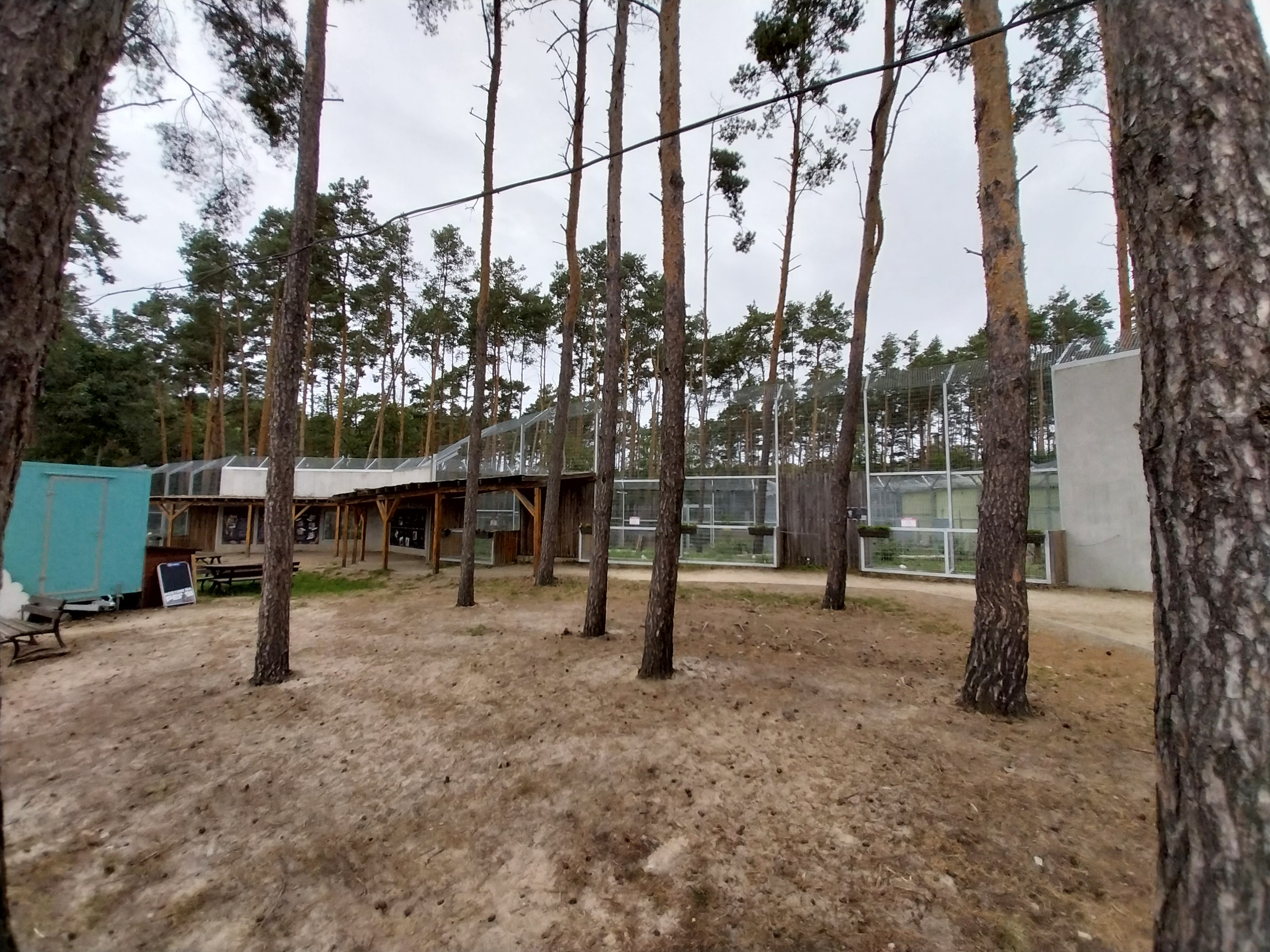 Visitor area between Tiger enclosures and the Elephant house