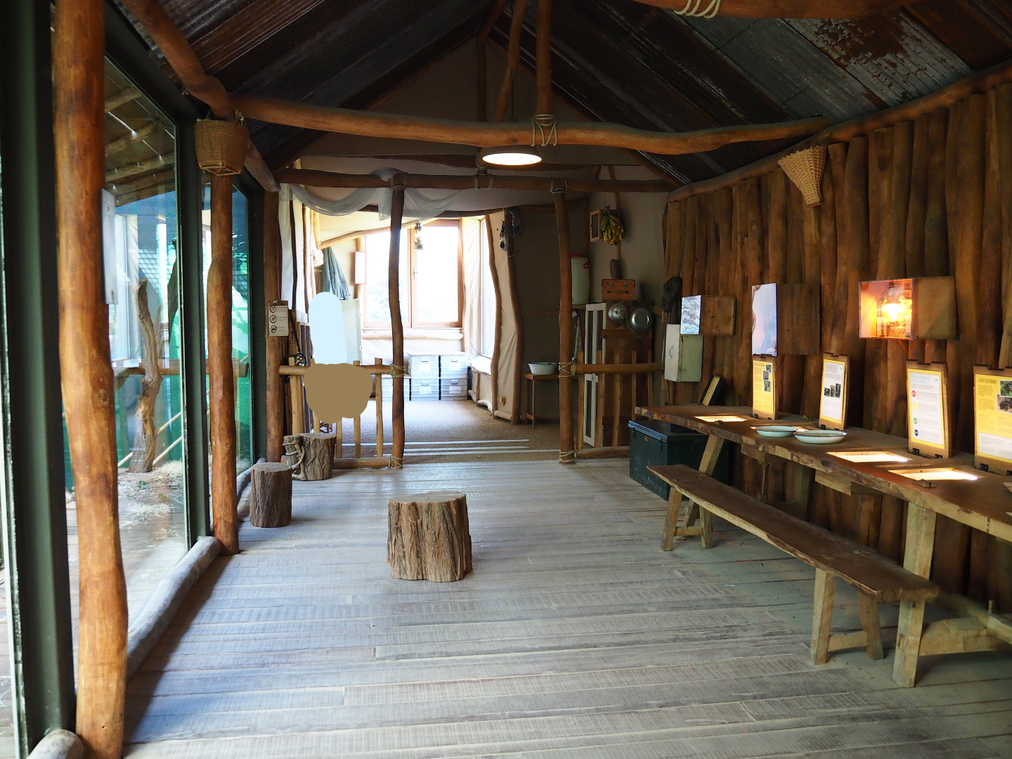 Visitor area bonobo house - Fist viewing area, 2020-07-21