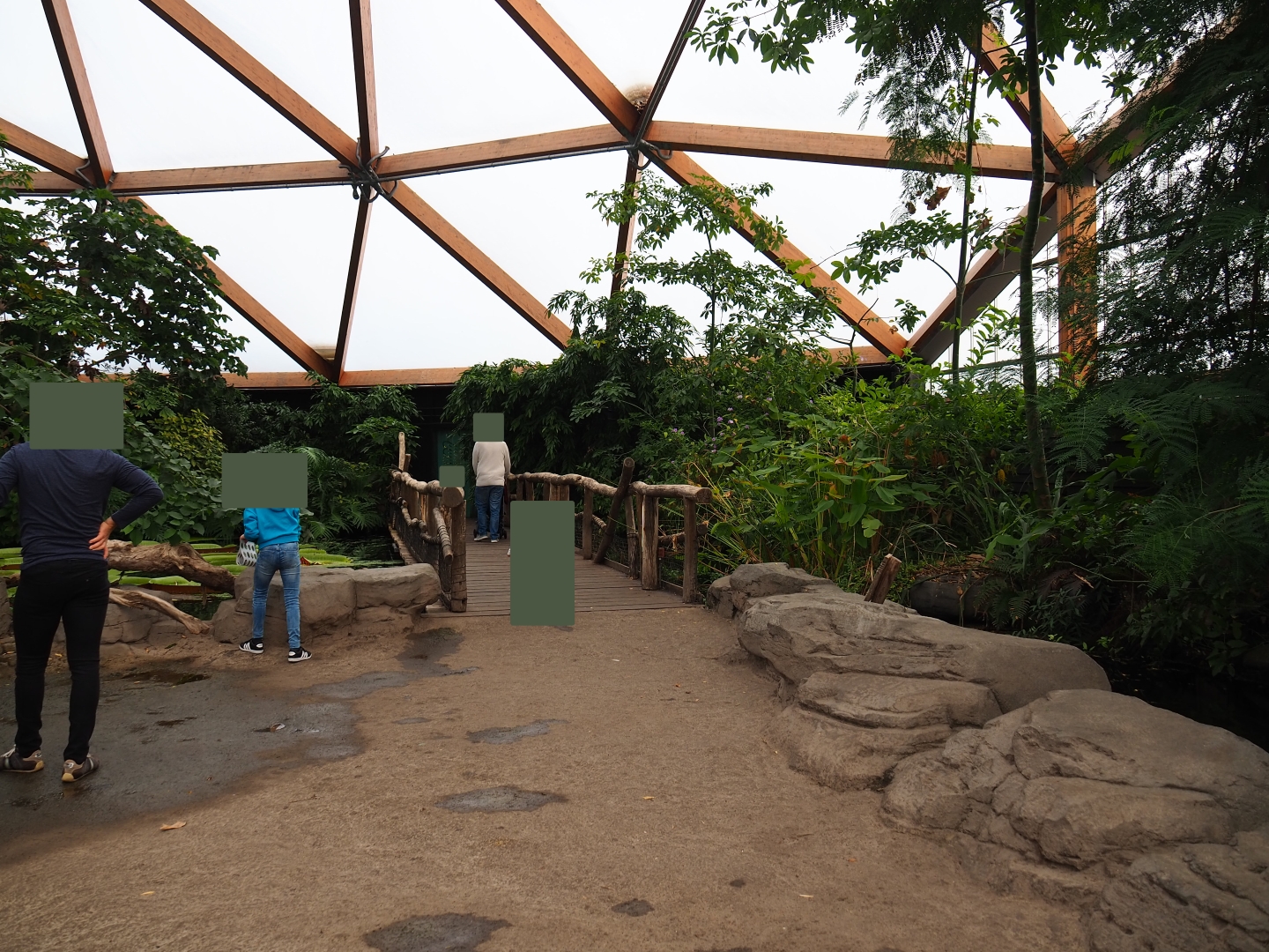Visitor area in Amazonica (Nov 10th, 2018)
