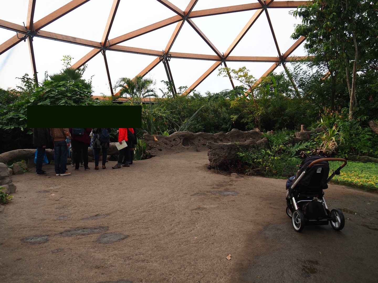 Visitor area in Amazonica (Nov 10th, 2018)