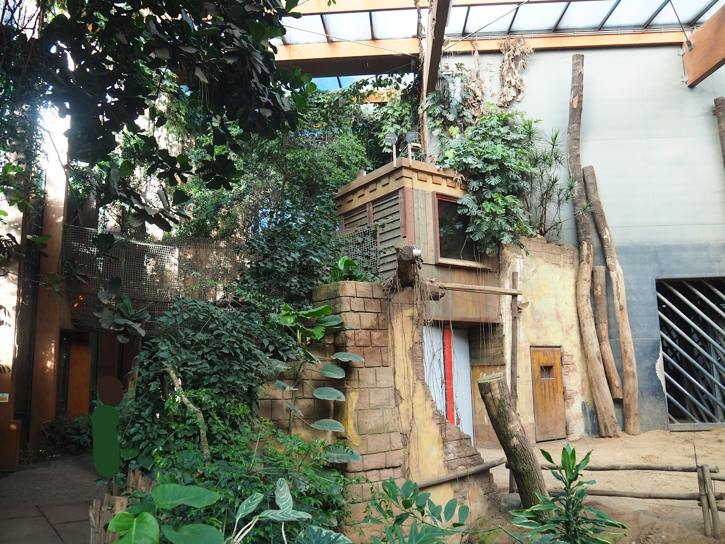 Visitor area in Asian elephant house, 2023-09-24