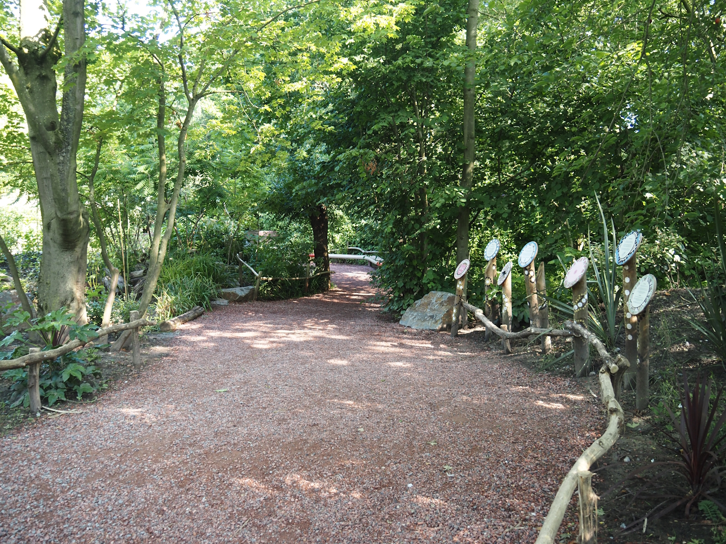 Visitor area in renovated Tasmanian devil area, 2024-07-14