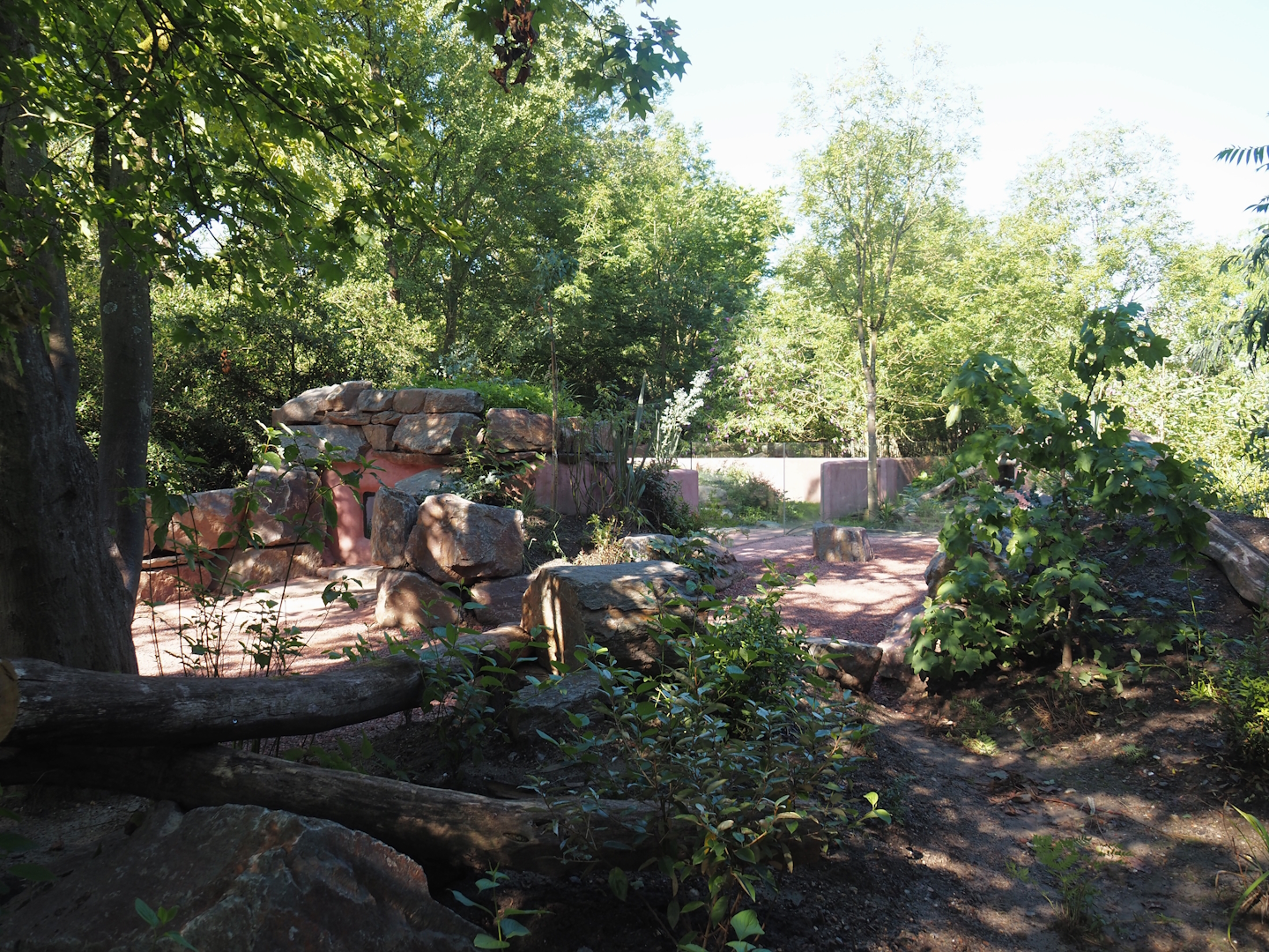 Visitor area in renovated Tasmanian devil area, 2024-07-14