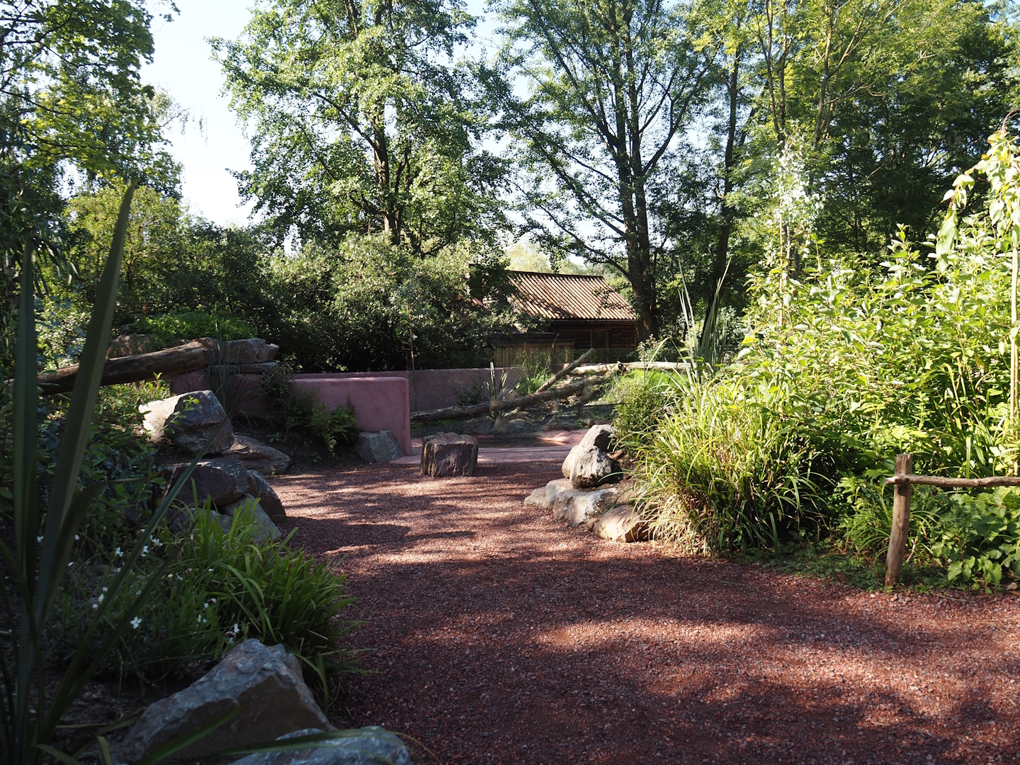 Visitor area in renovated Tasmanian devil area, 2024-07-14