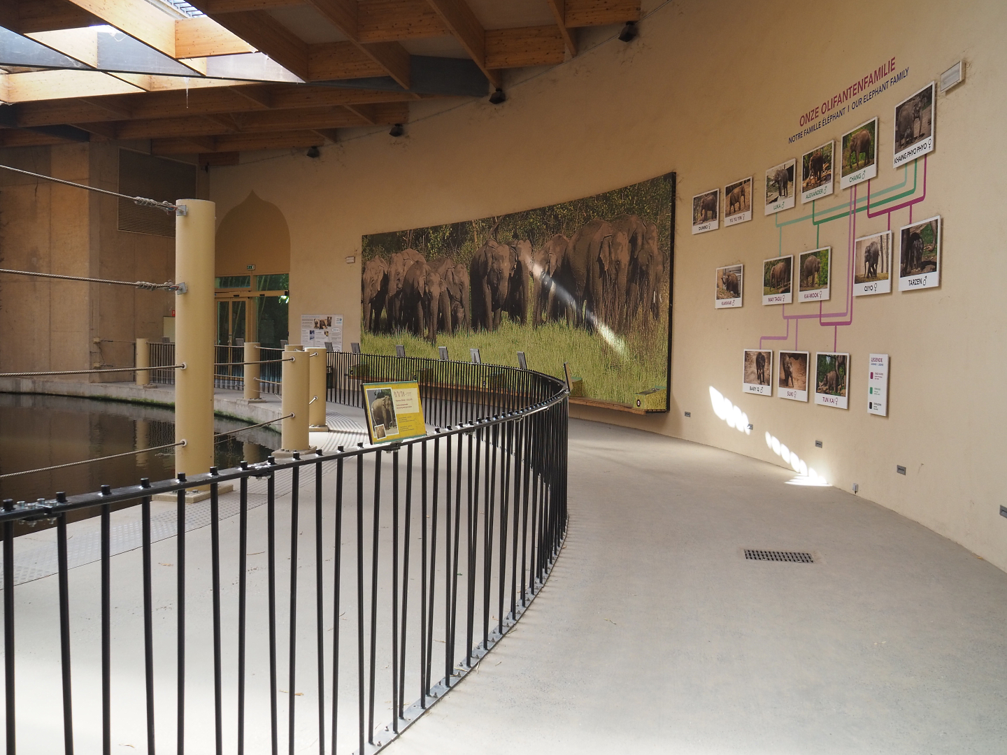 Visitor area in the Asian elephant house, 2022-06-15