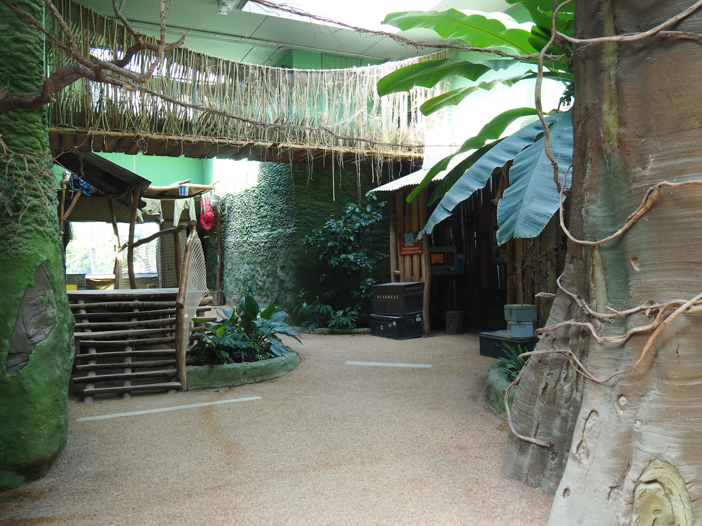Visitor area in the Bonobo house, 2022-06-15