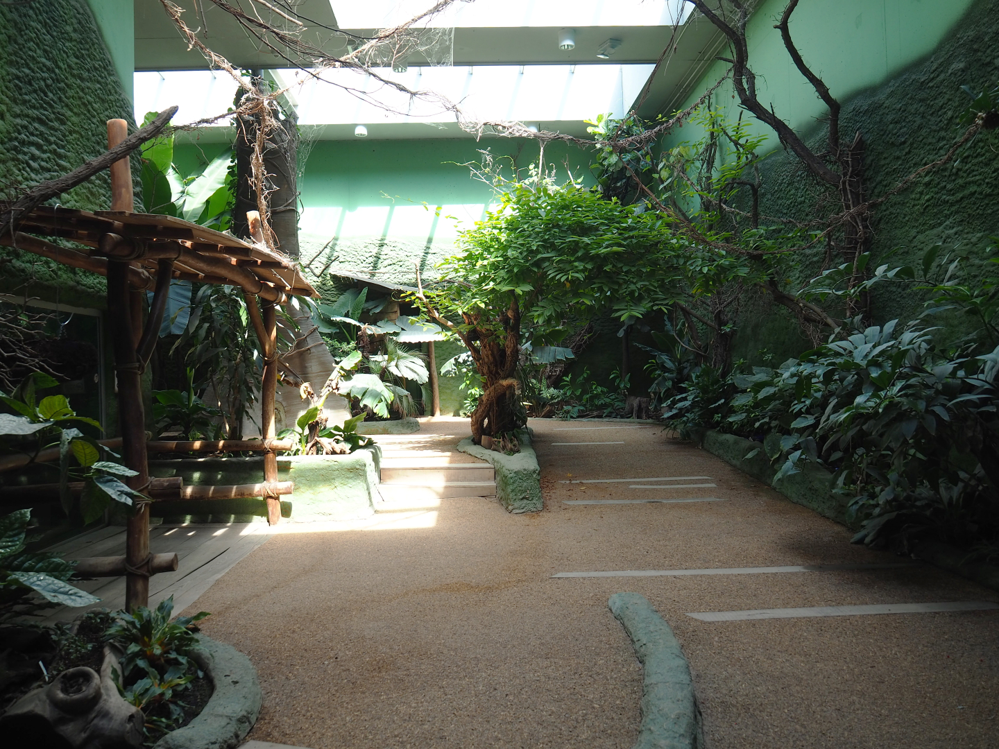 Visitor area in the Bonobo house, 2022-06-15