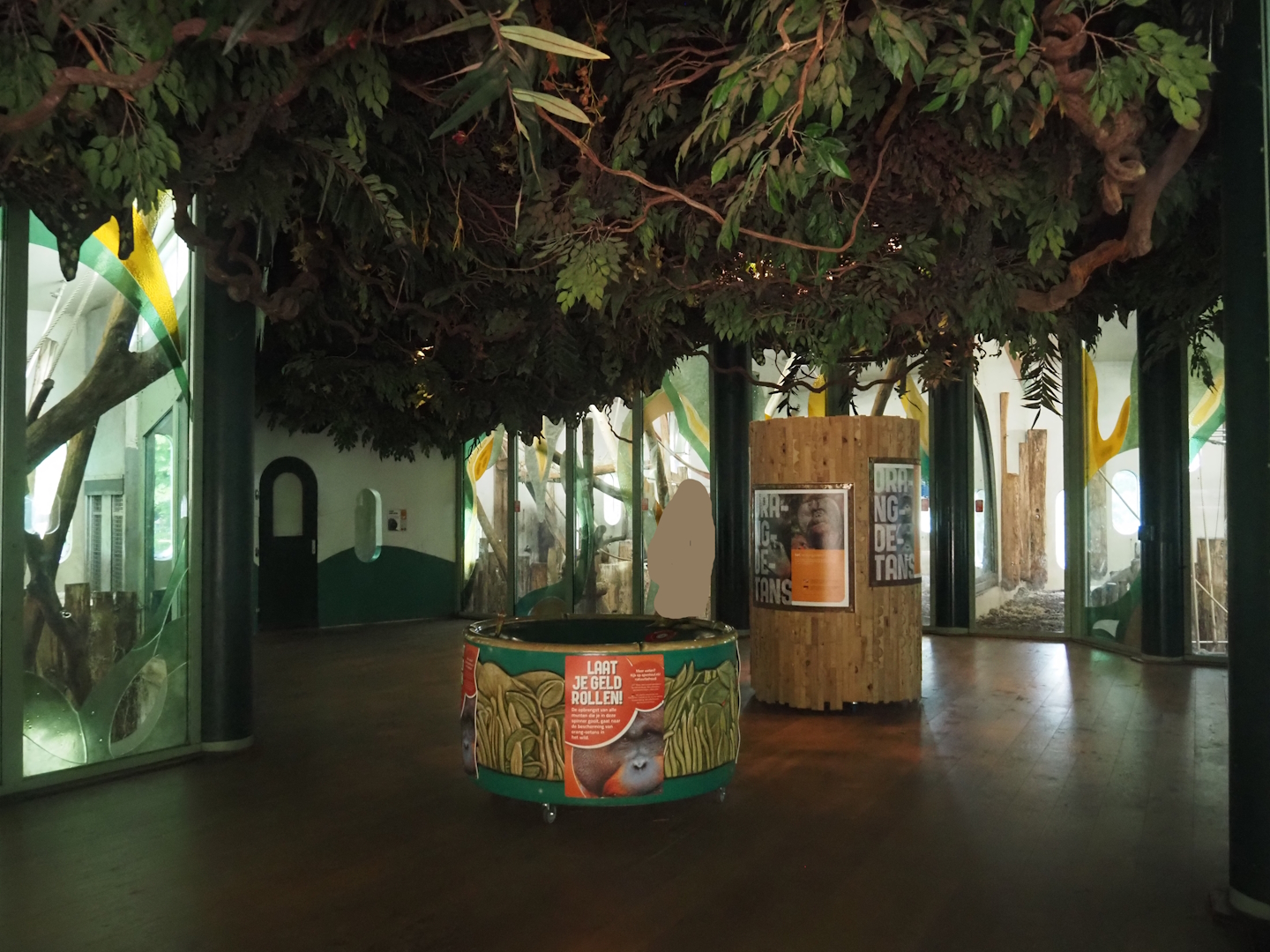 Visitor area in the Bornean orangutan house, 2024-08-18