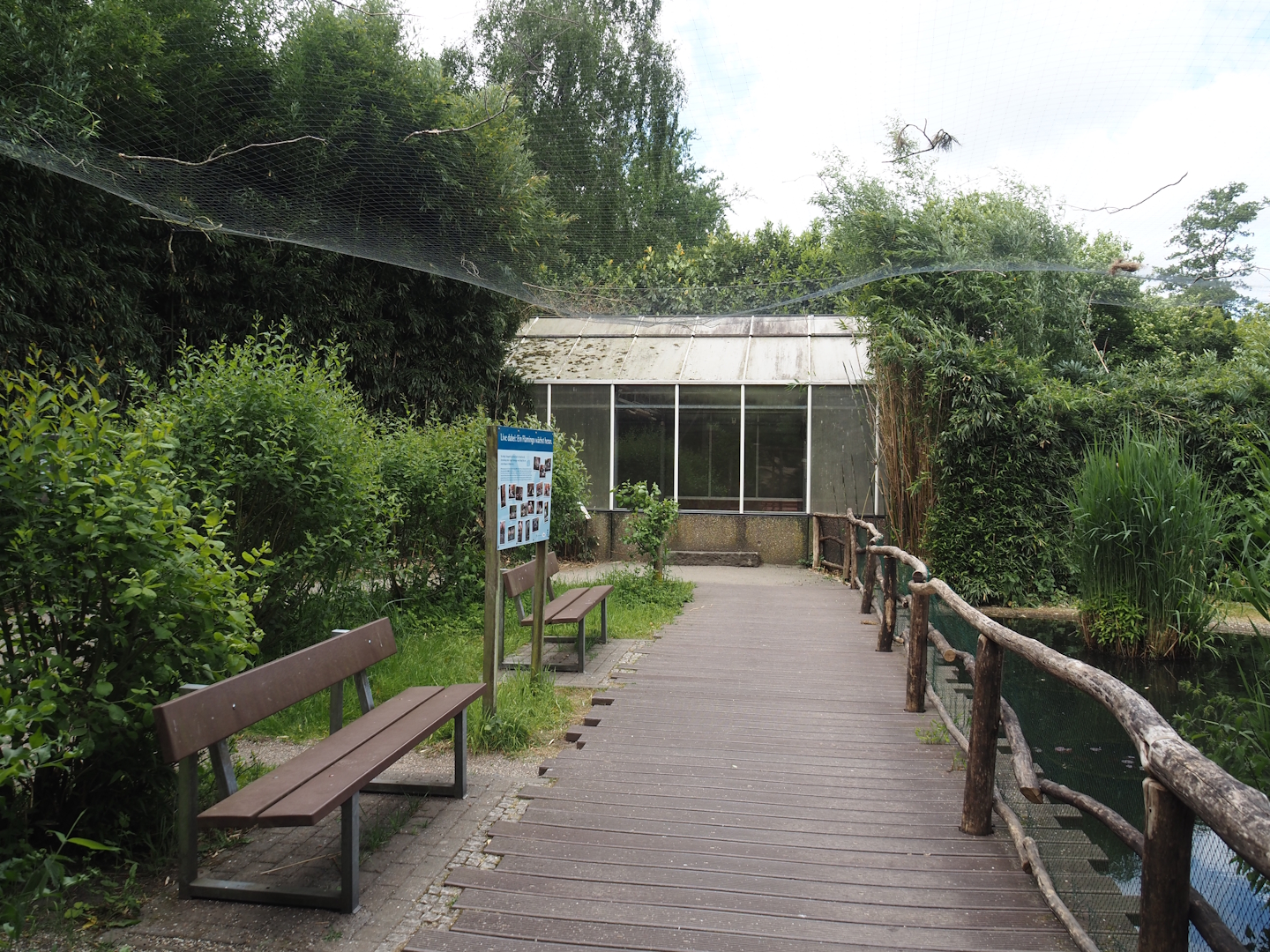 Visitor area in the Chilean flamingo aviary, 2025-05-22