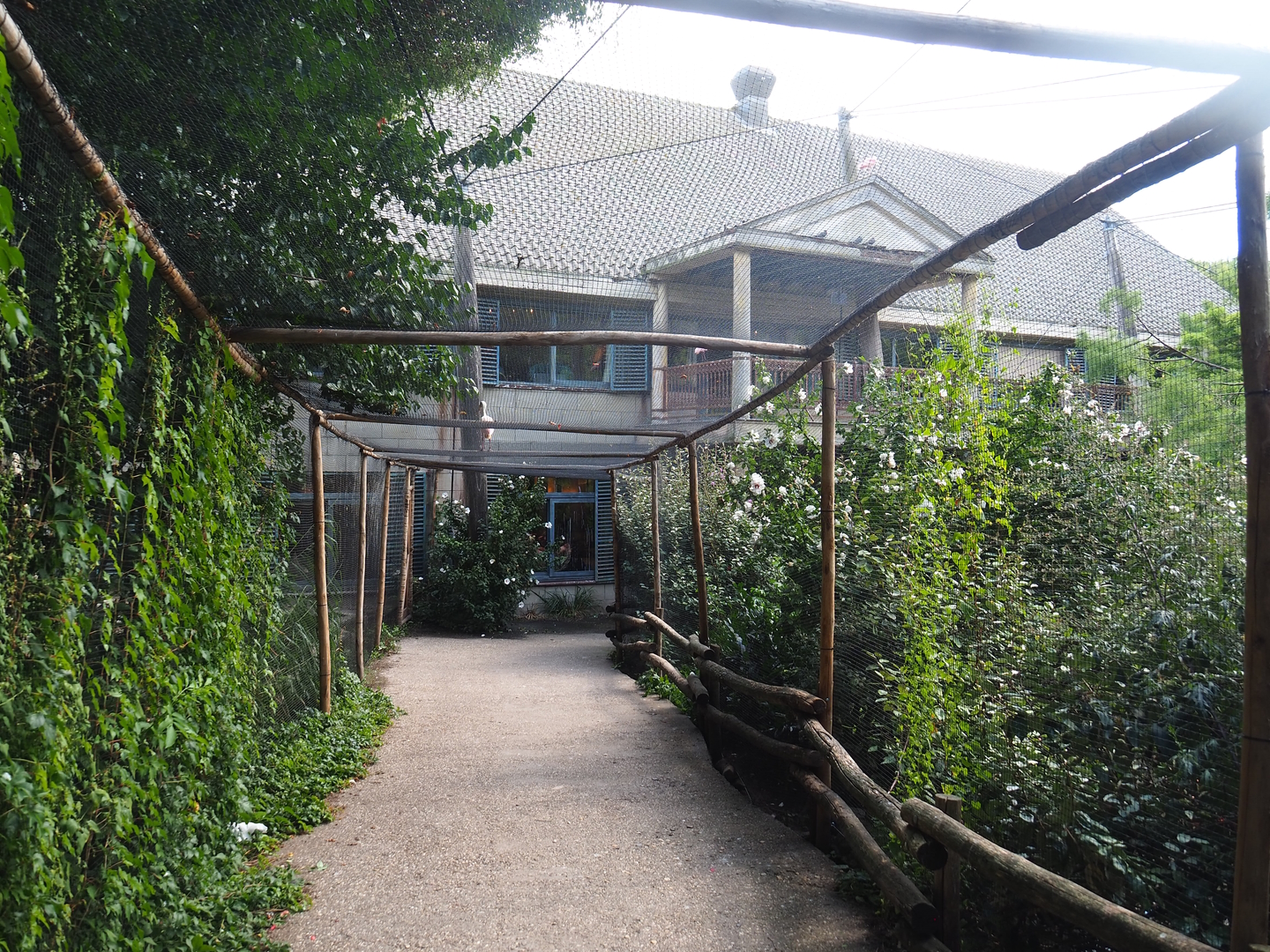 Visitor area in the Cuban aviary, 2022-08-28