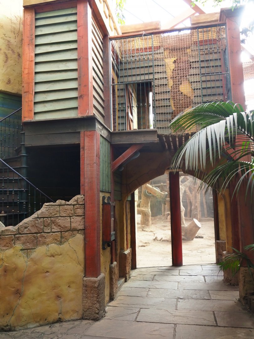 Visitor area in the elephant house