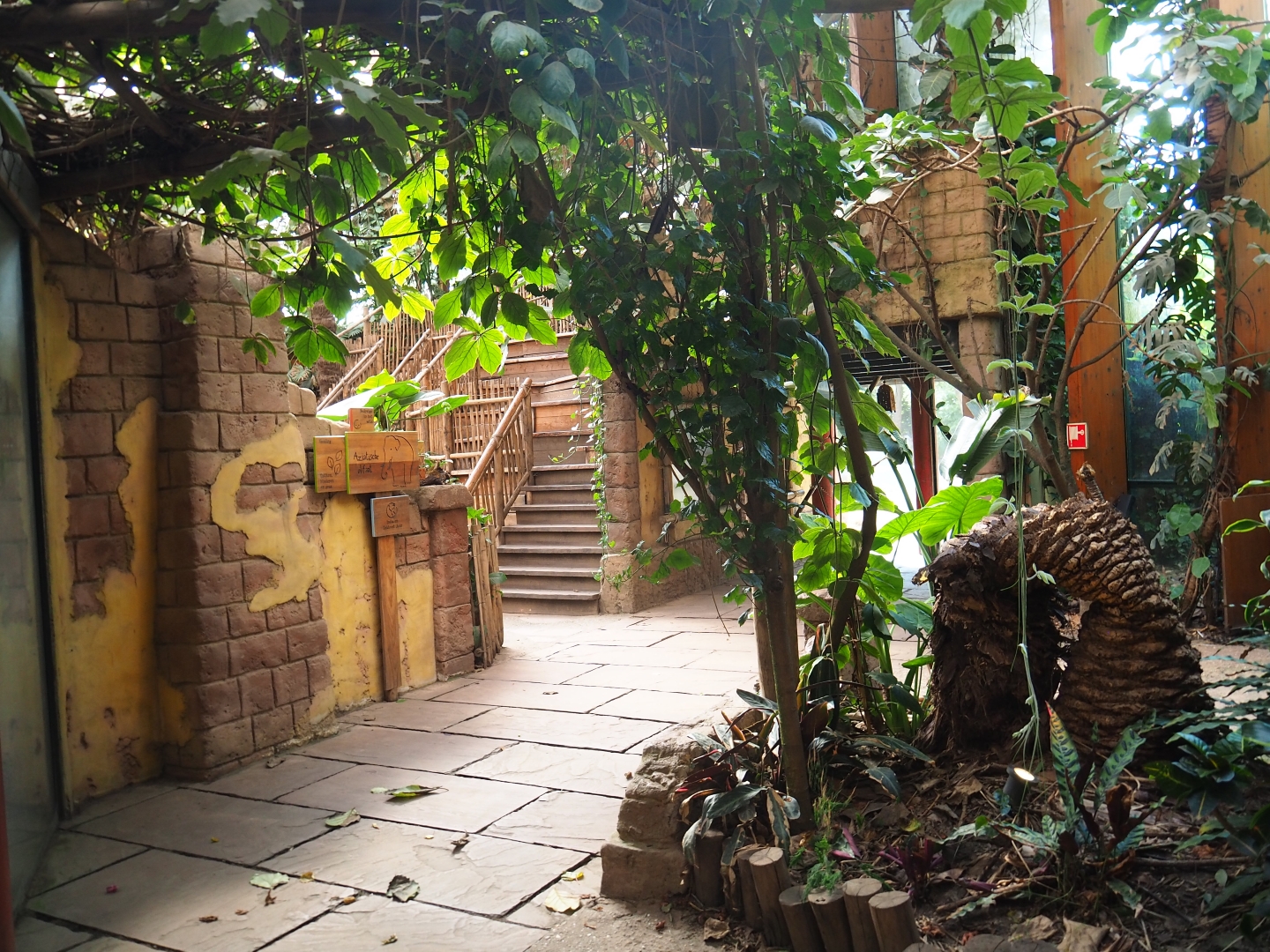 Visitor area in the elephant house