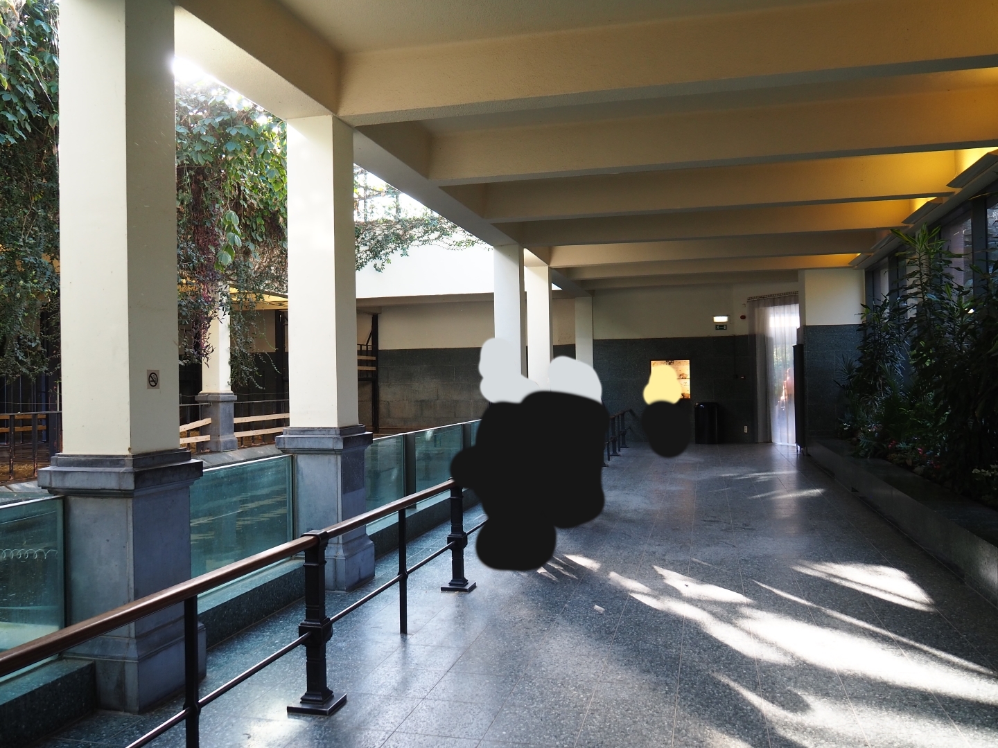 Visitor area in the hippopotamus house, 2019