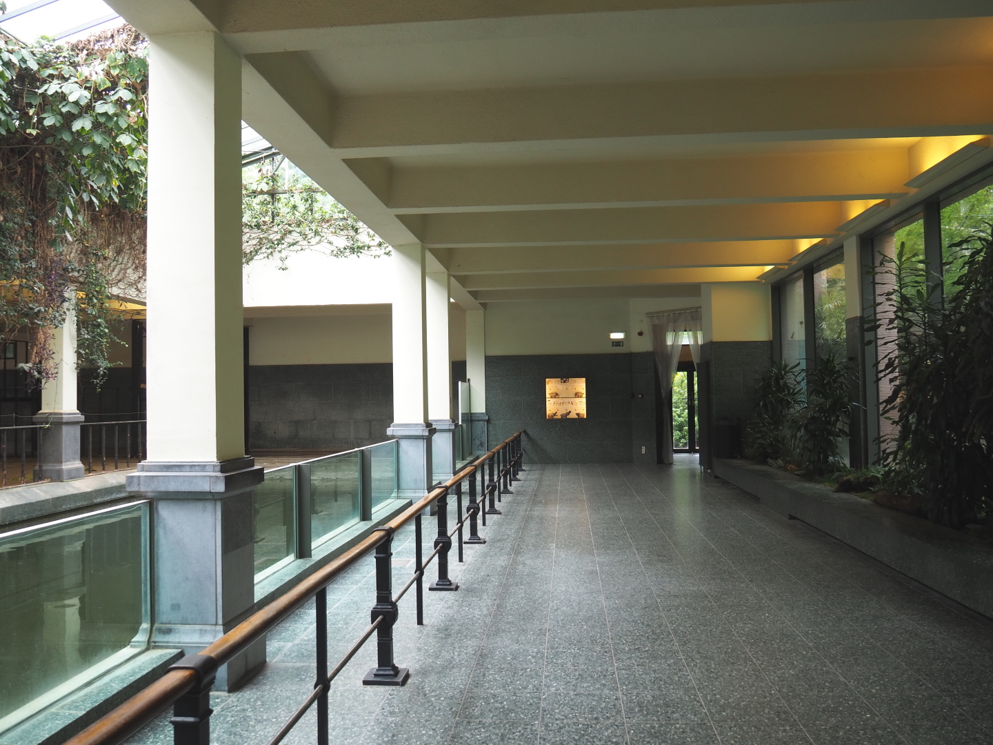 Visitor area in the hippopotamus house, 2021-06-12