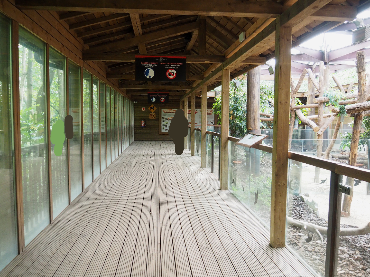 Visitor area in the Koala and Long-nosed potoroo house, 2022-09-15