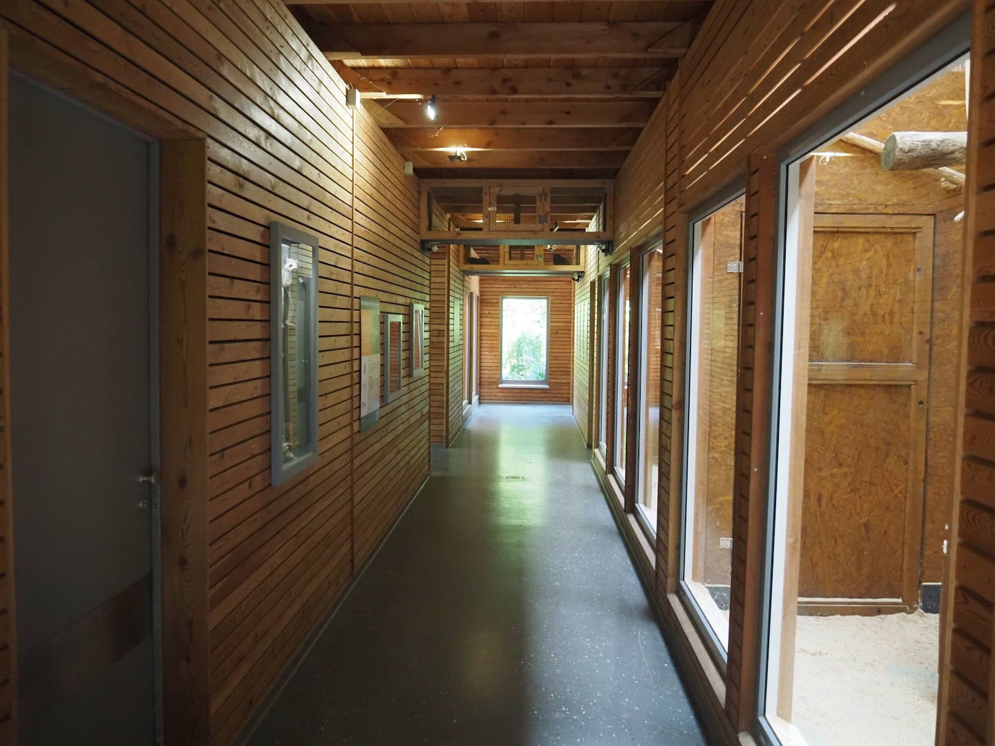 Visitor area in the lemur house, with lemur tunnel above, 2025-05-22