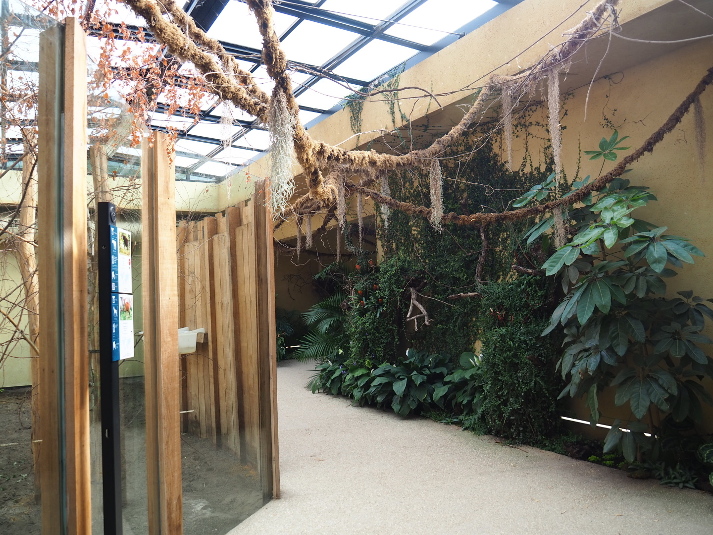 Visitor area in the okapi house next to the ape house, 2021-07-17