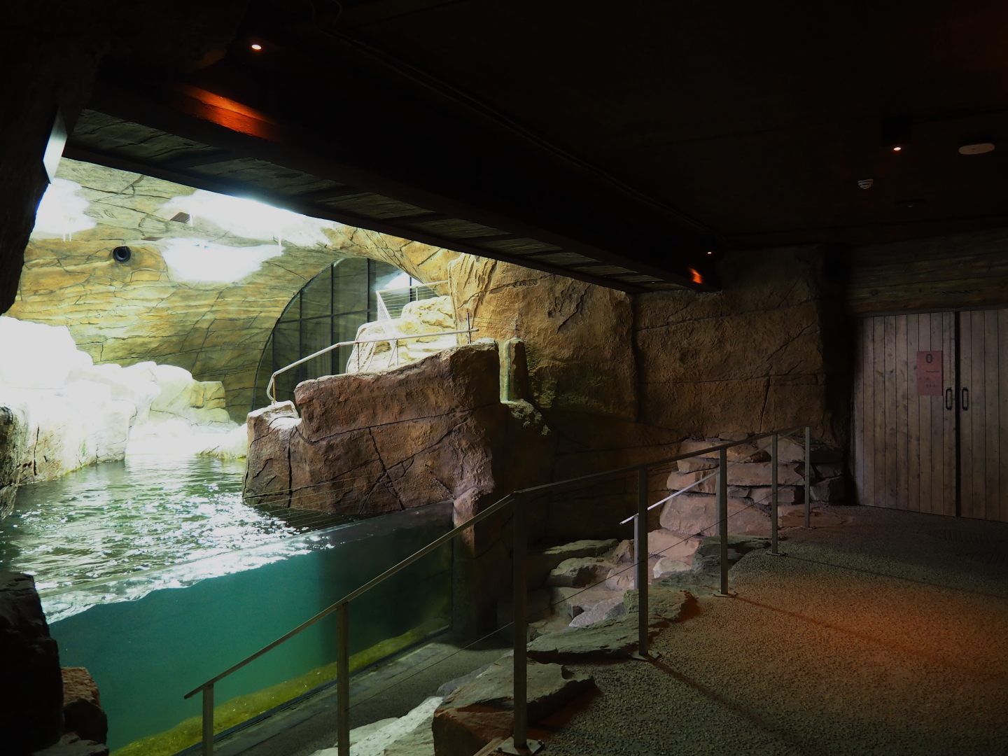 Visitor area in the penguin cave (New exhibit in 2021), 2021-09-02
