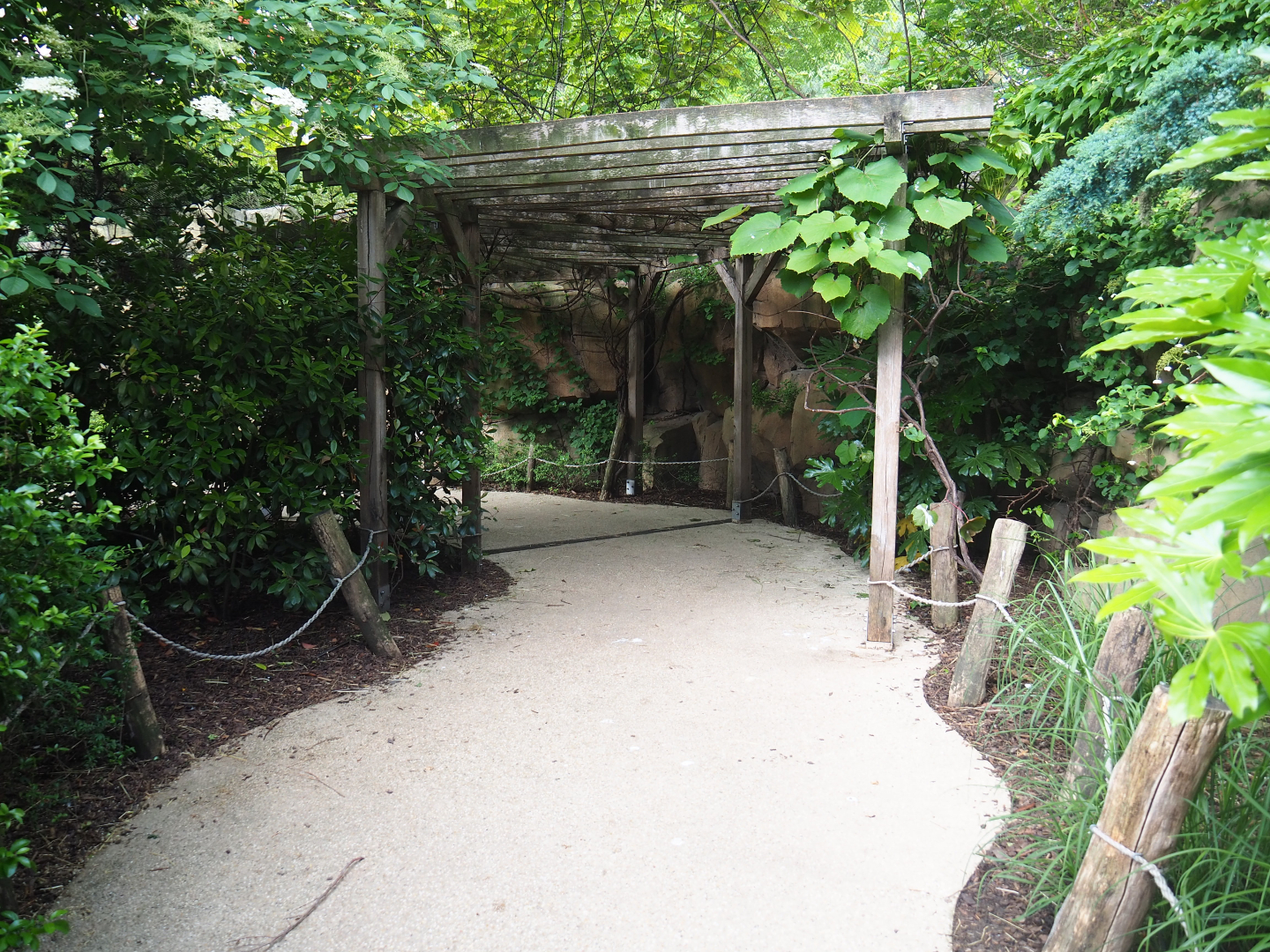 Visitor area in the Savanna aviary, 2022-05-26