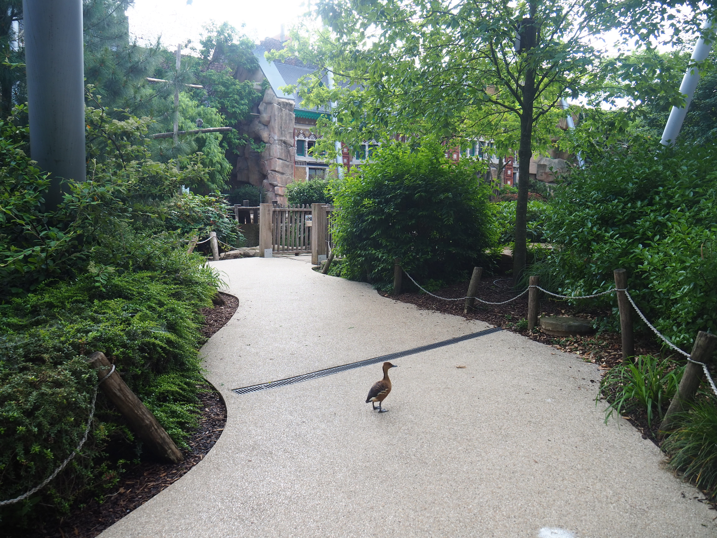 Visitor area in the Savanna aviary, 2022-05-26