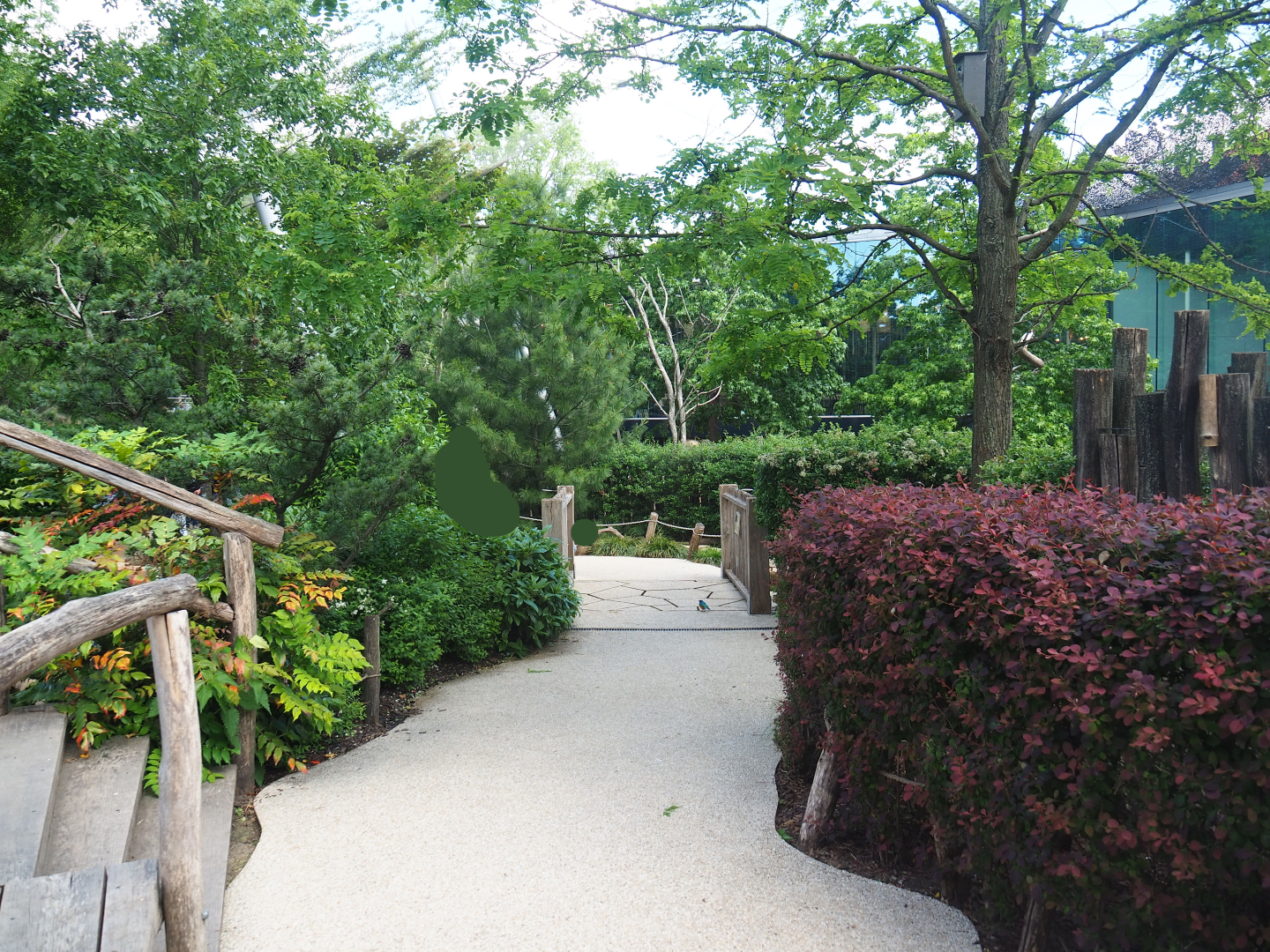 Visitor area in the Savanna aviary, 2022-05-26