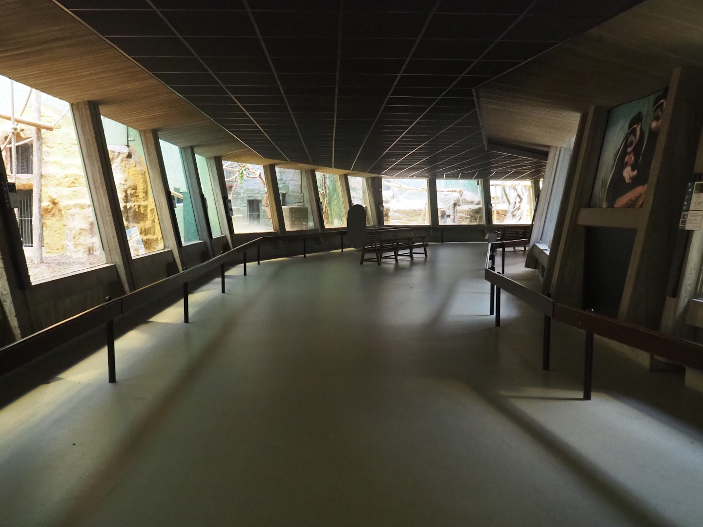 Visitor area in the small monkey house, 2022-07-10