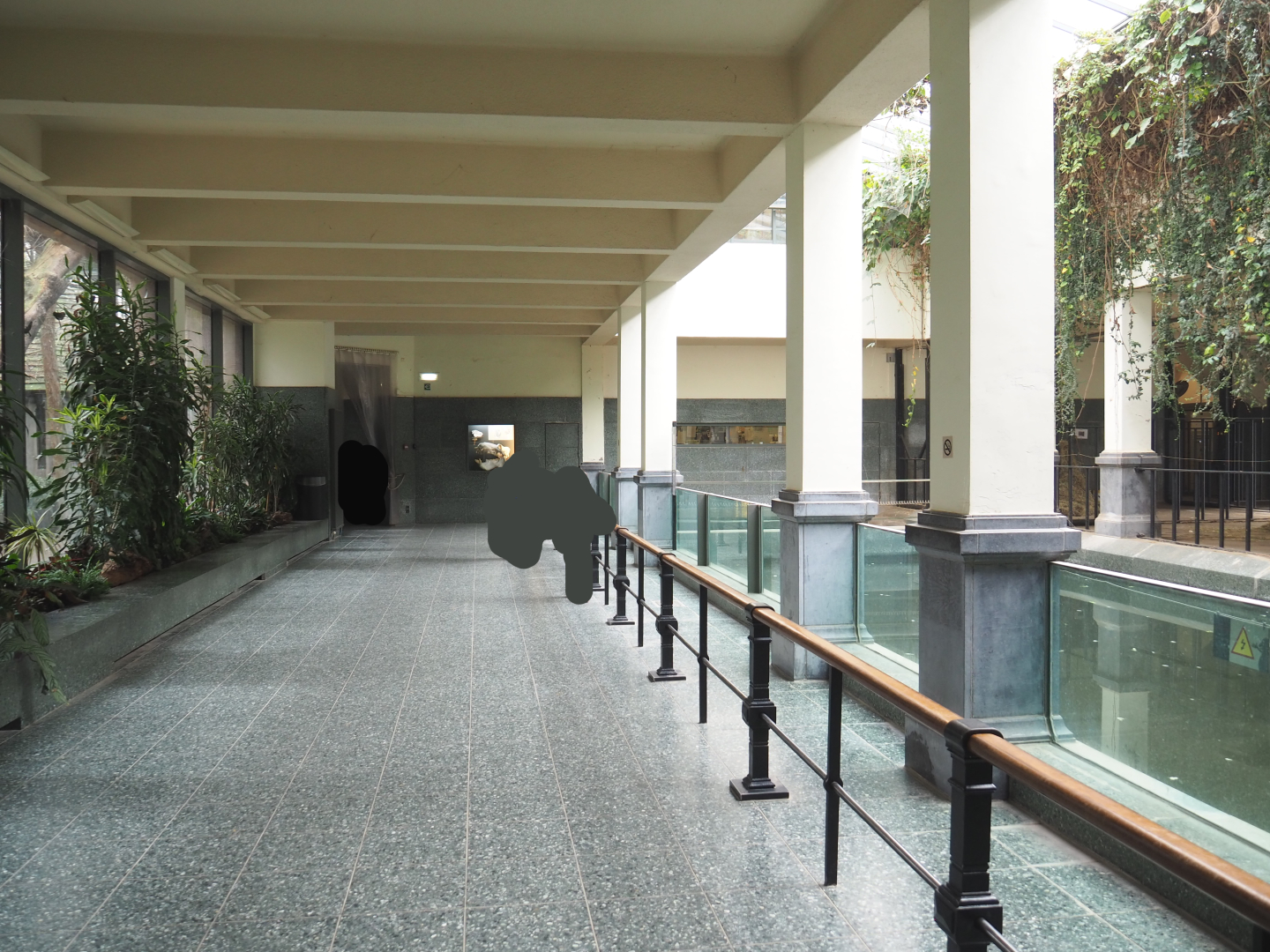 Visitor area inside the Hippopotamus house, 2022-03-16