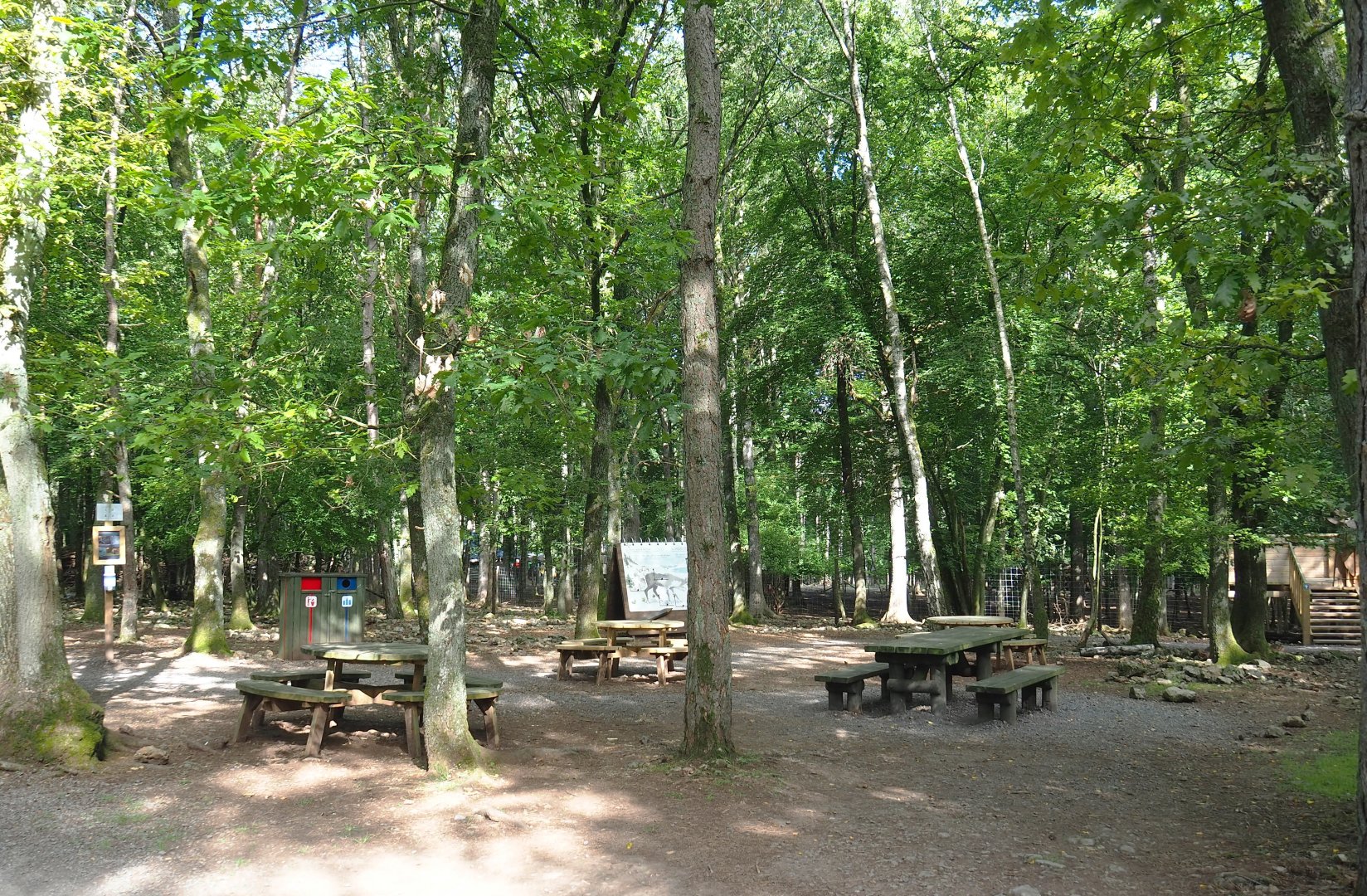 Visitor area near the Eurasian forest reindeer paddock, 2021-08-15
