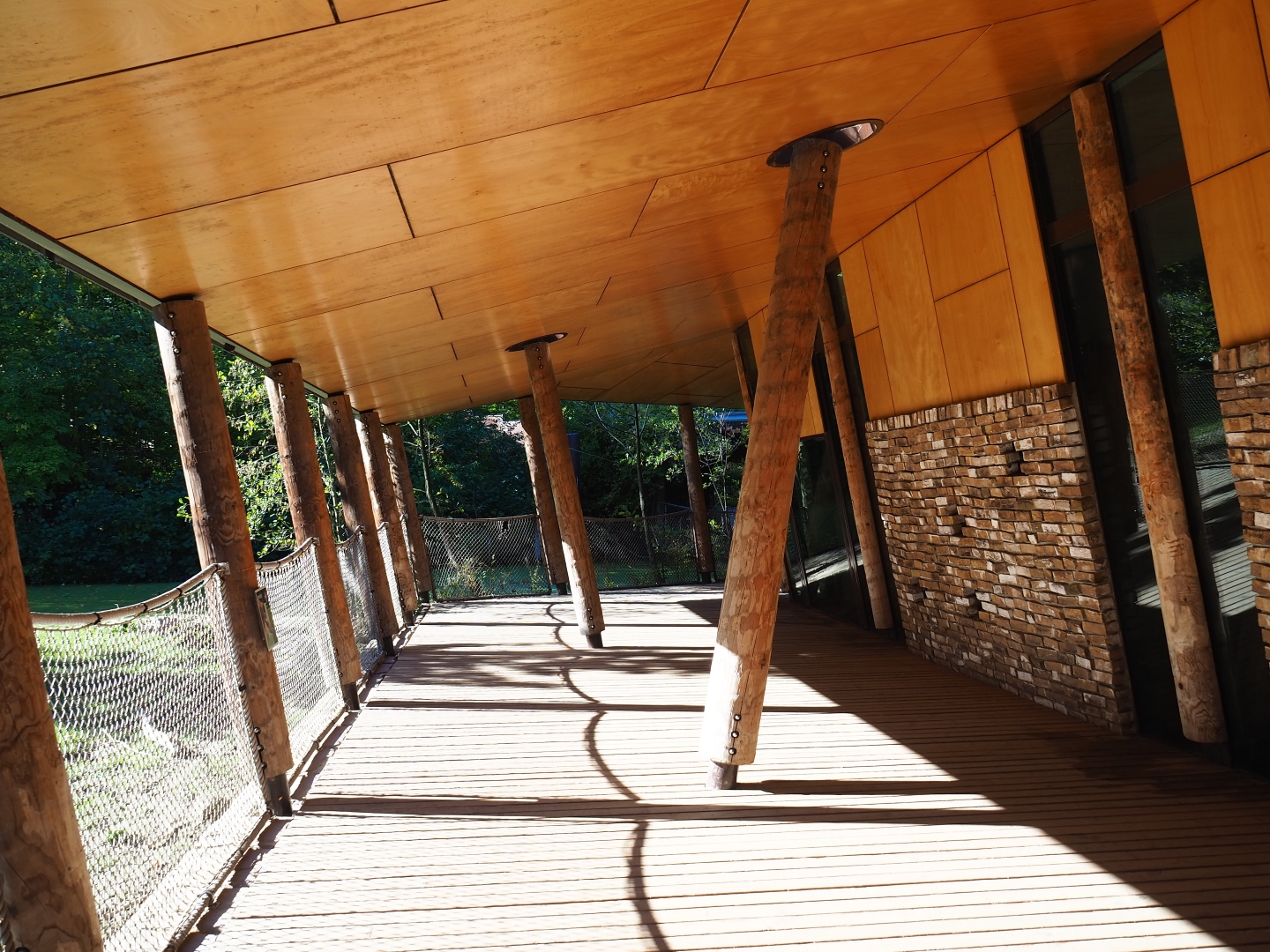 Visitor area next to the gorilla house (Oct 13th, 2018)