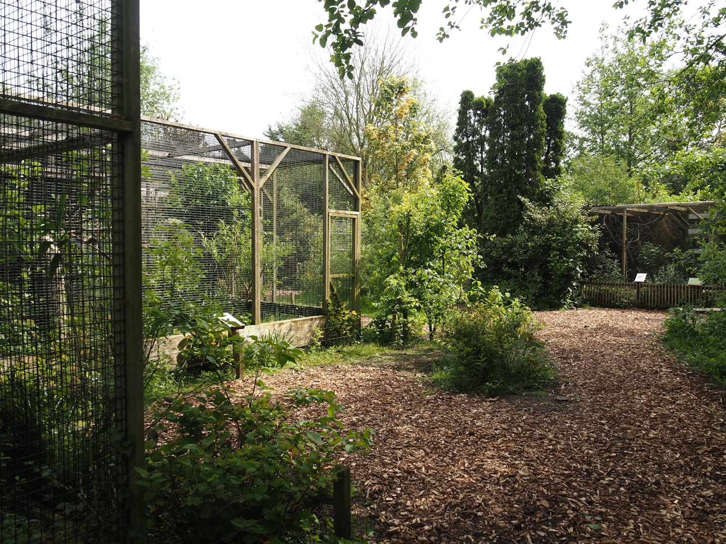 Visitor area next to Von der Decken's hornbill aviary and Siberian weasel exhibit, 2024-05-11