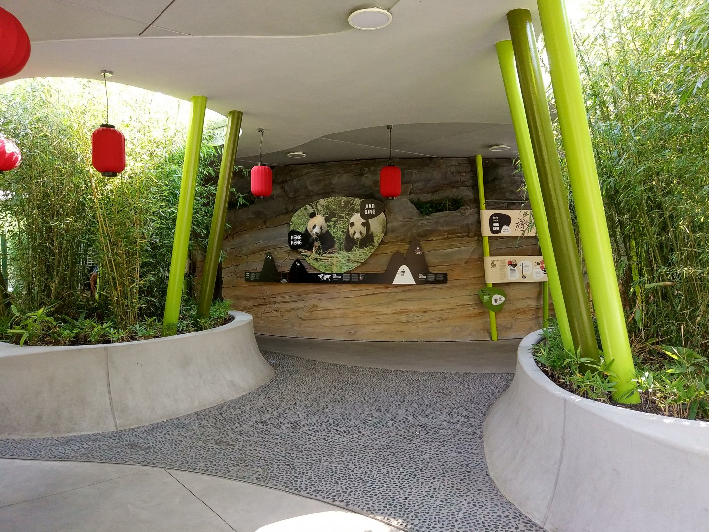 Visitor Area - Pandas