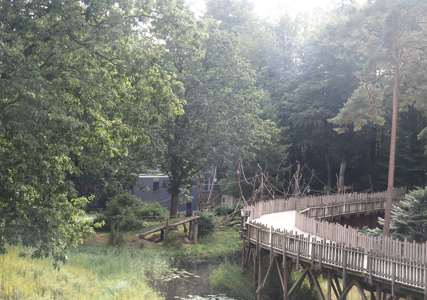 Visitor boardwalk and parts of smaller gorilla island and capuchin exhibit seen from the viewing area on the bonobo building, 2024-08-18