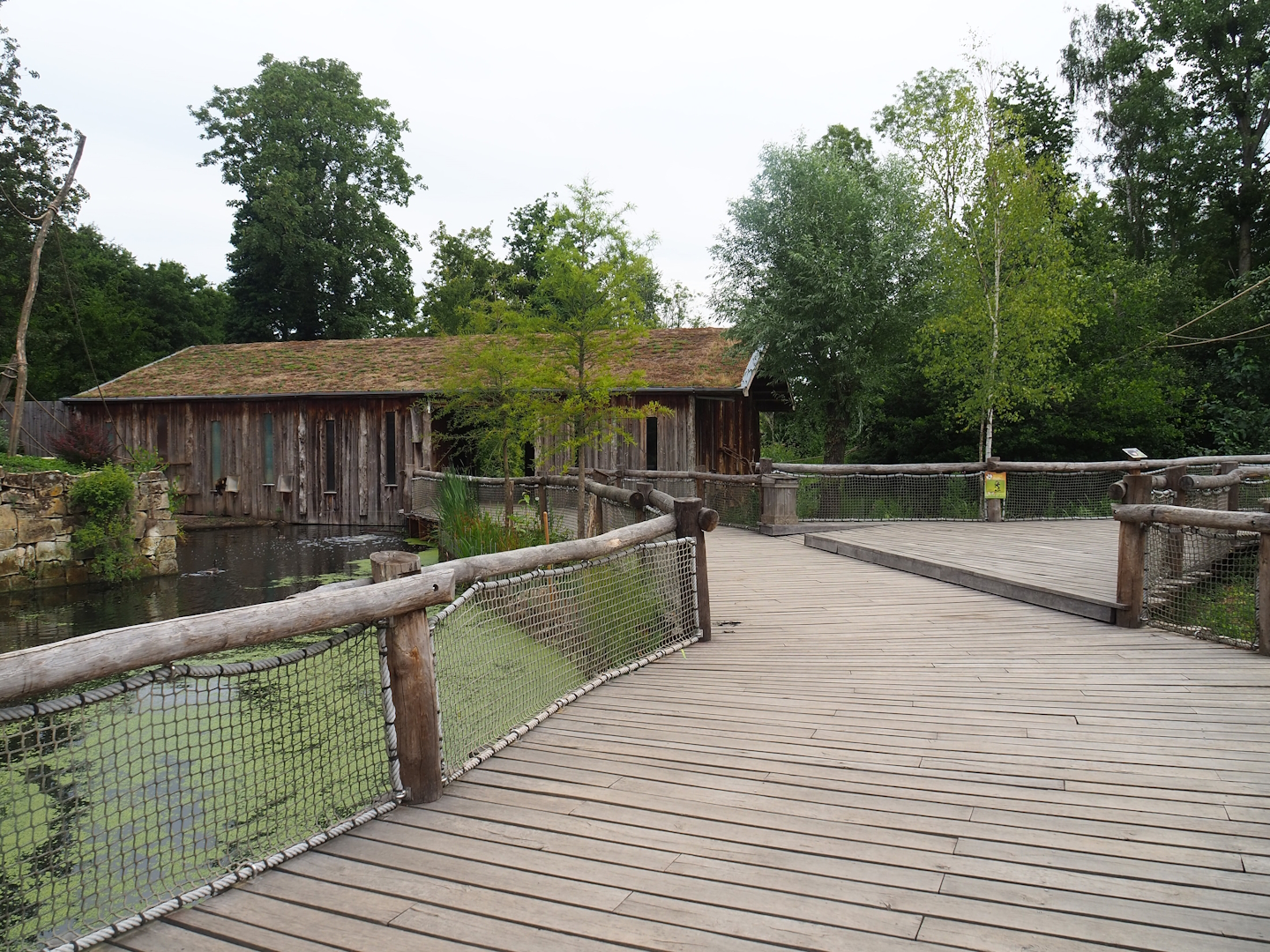 Visitor boardwalk between monkey islands, 2023-07-18
