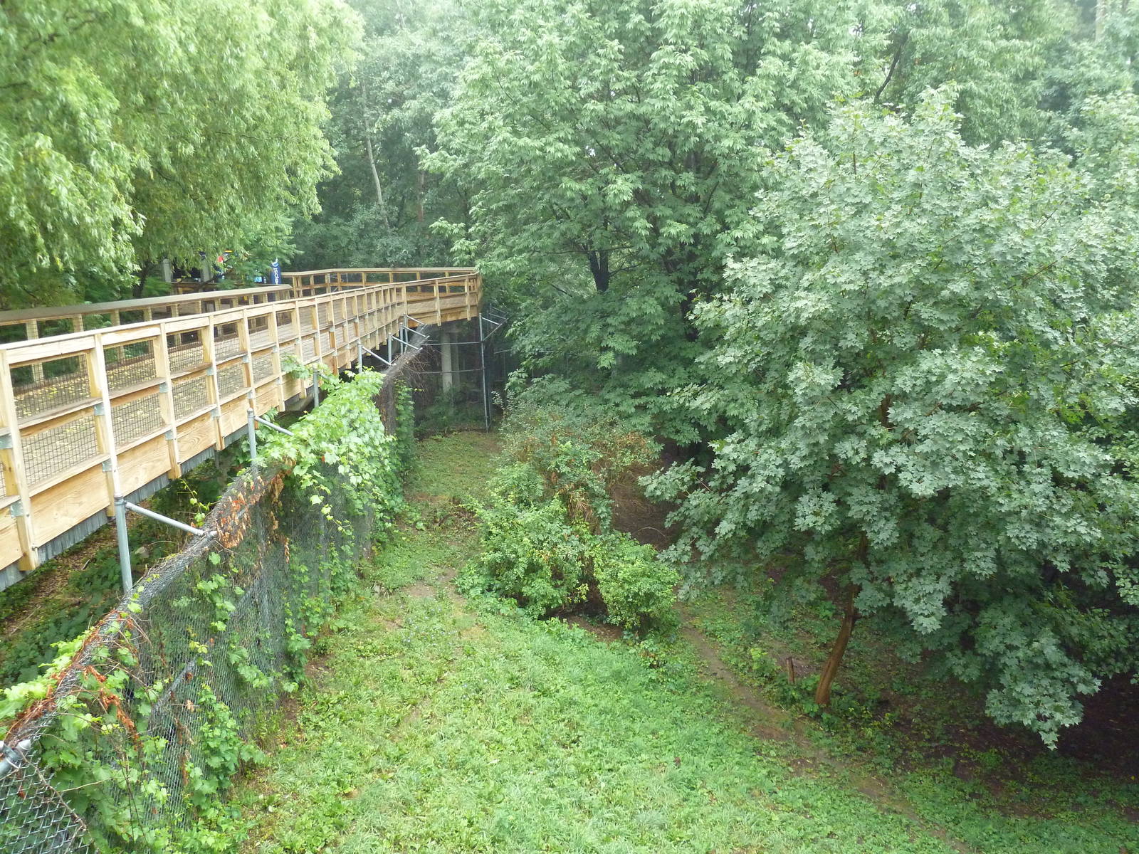 Visitor Boardwalk + Red Wolf Exhibit