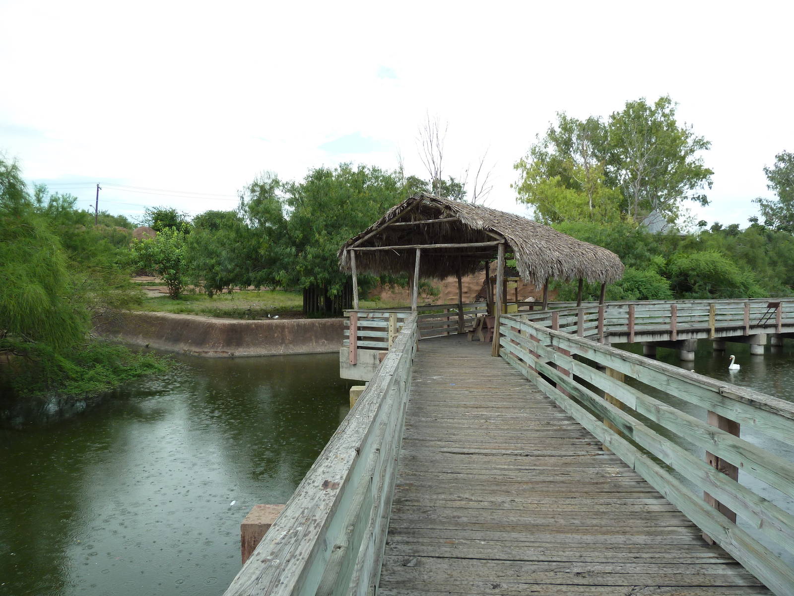 Visitor Boardwalk