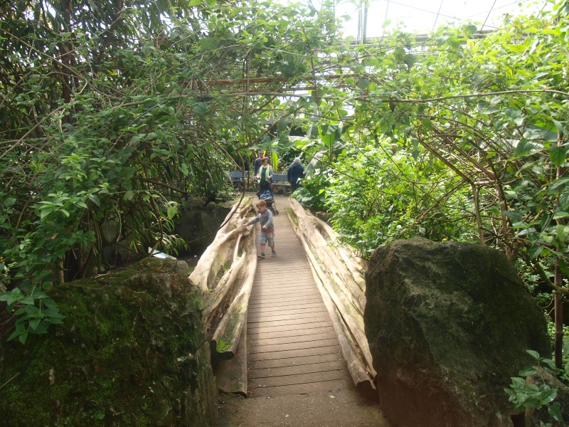 Visitor bridge (April 19th, 2015)