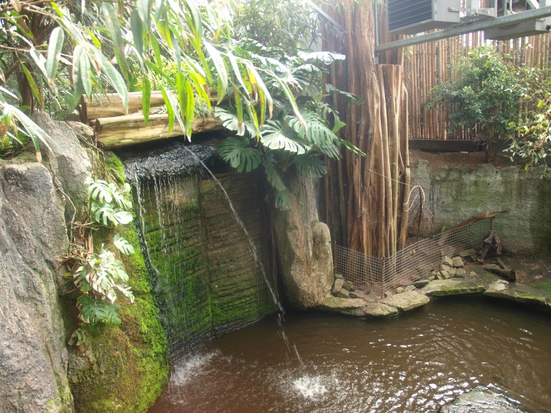 Visitor bridge (April 19th, 2015)