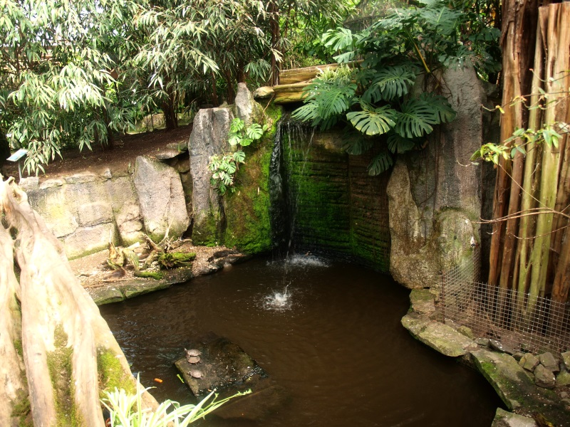 Visitor bridge (April 19th, 2015)